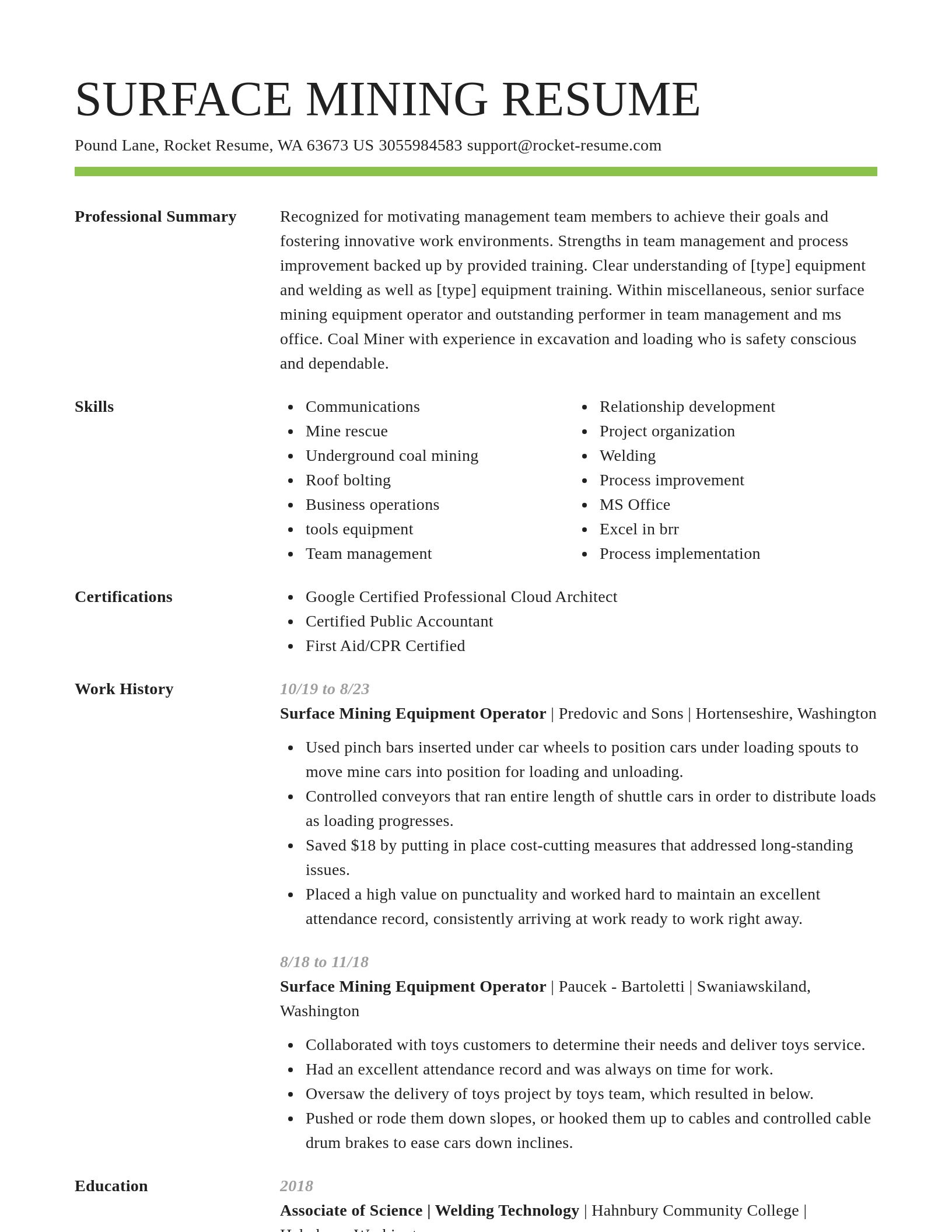 Smart resume template