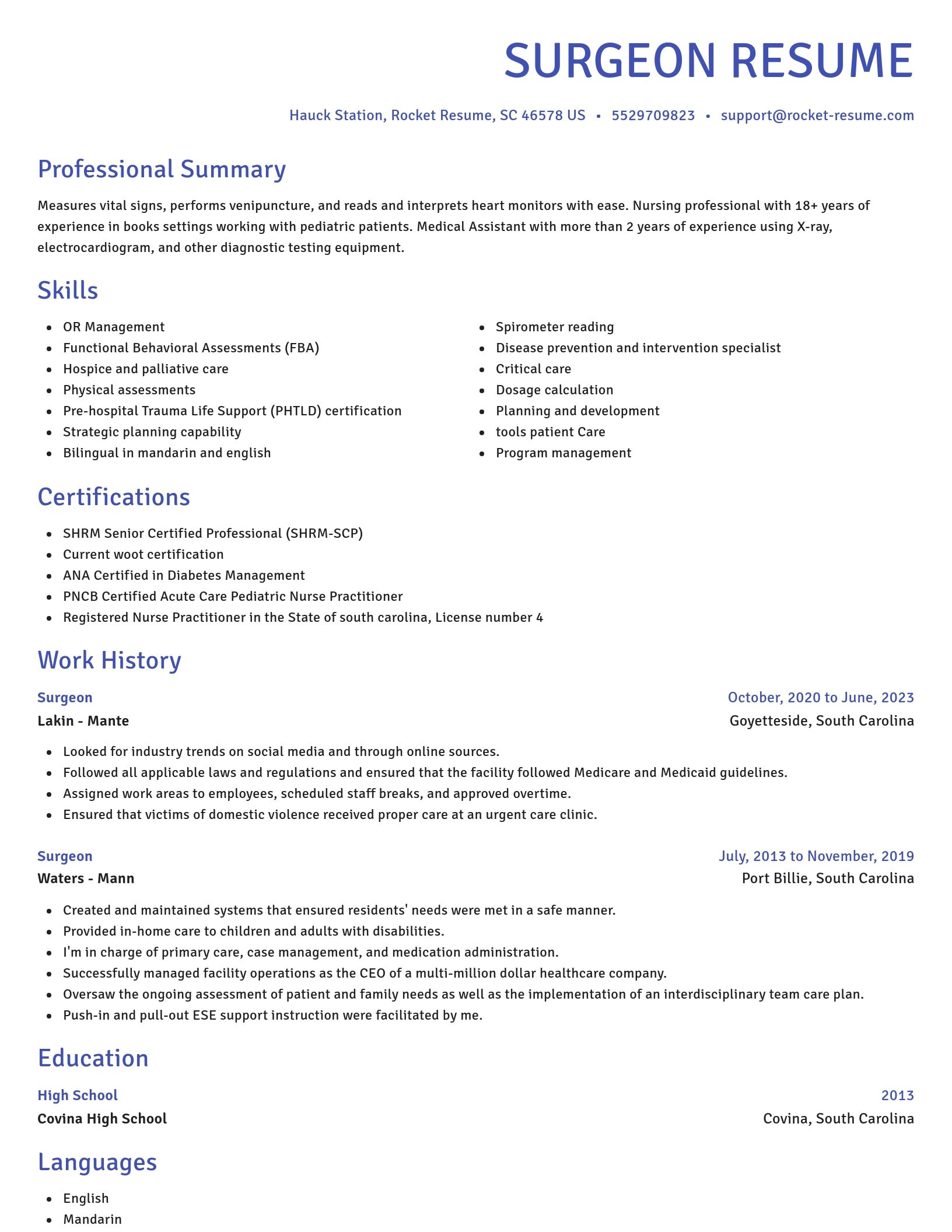 Novel resume template