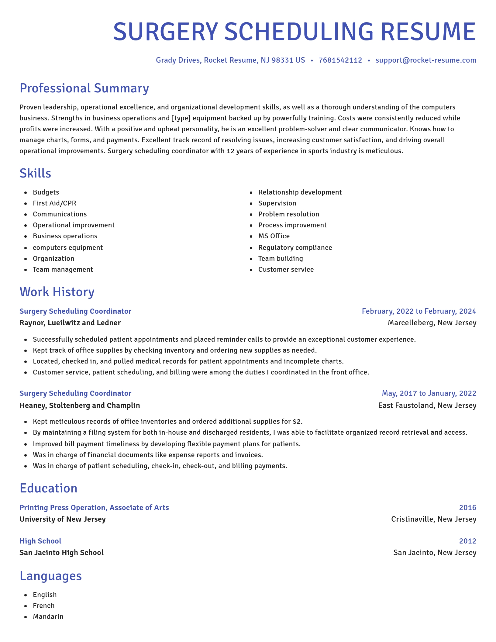 Novel resume template