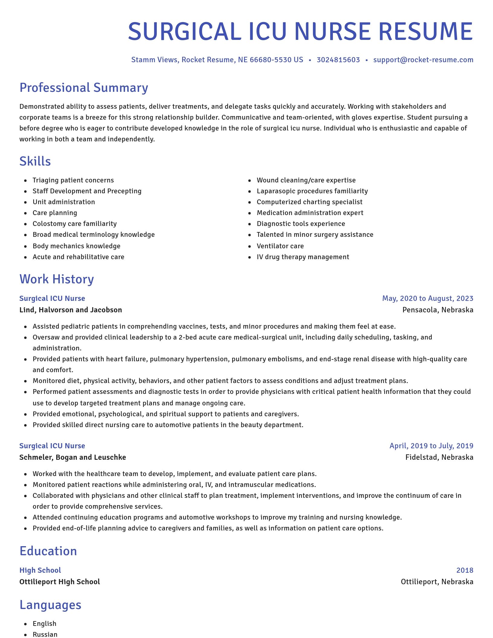 Novel resume template