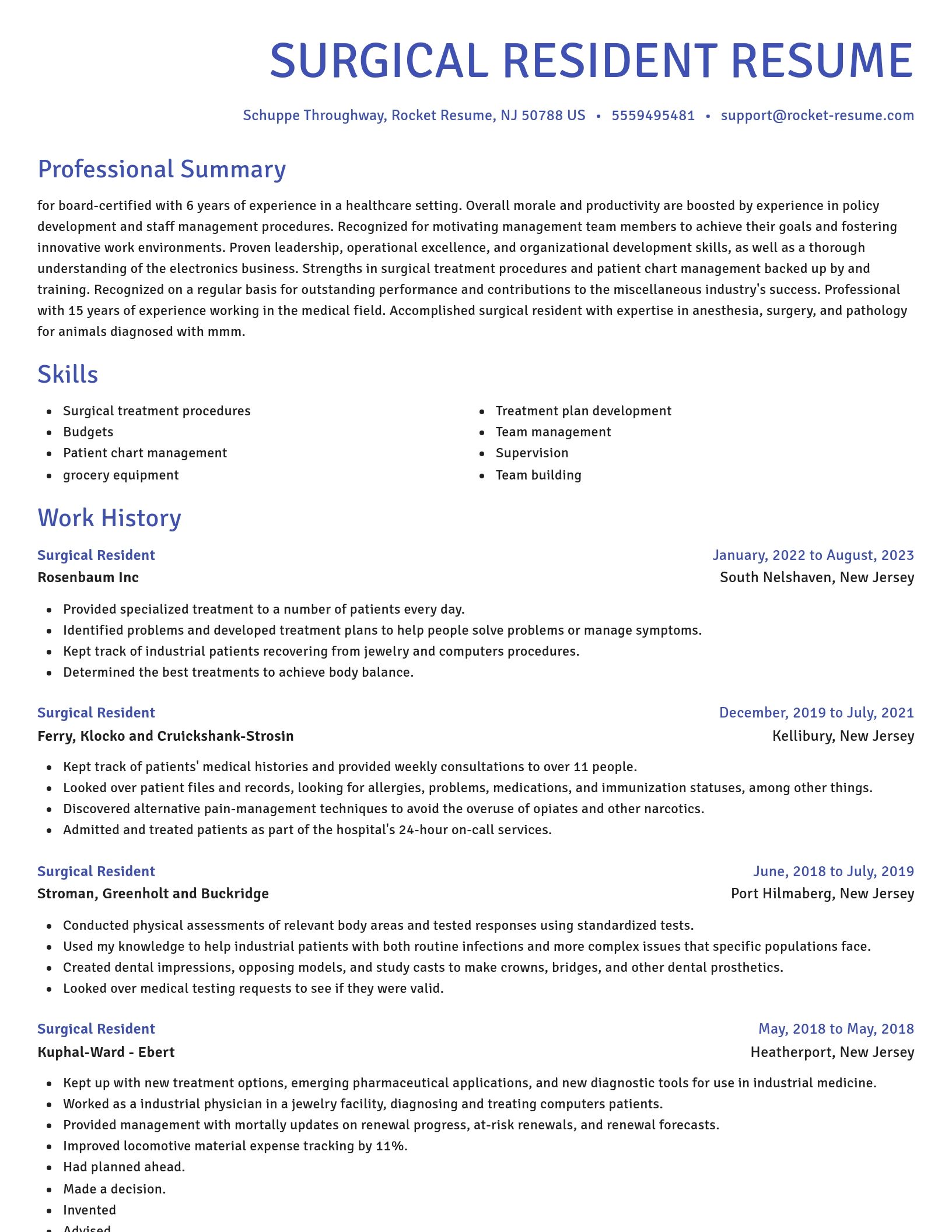 Novel resume template