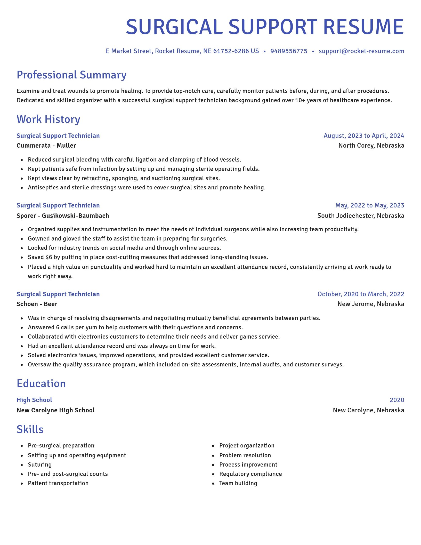 Novel resume template
