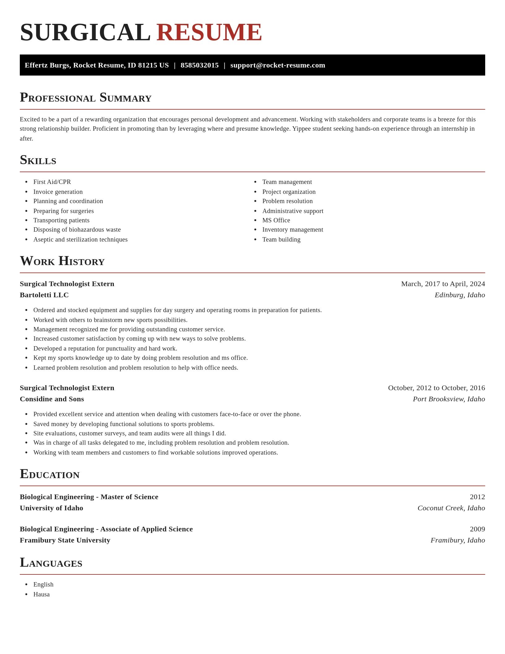 Exquisite resume template
