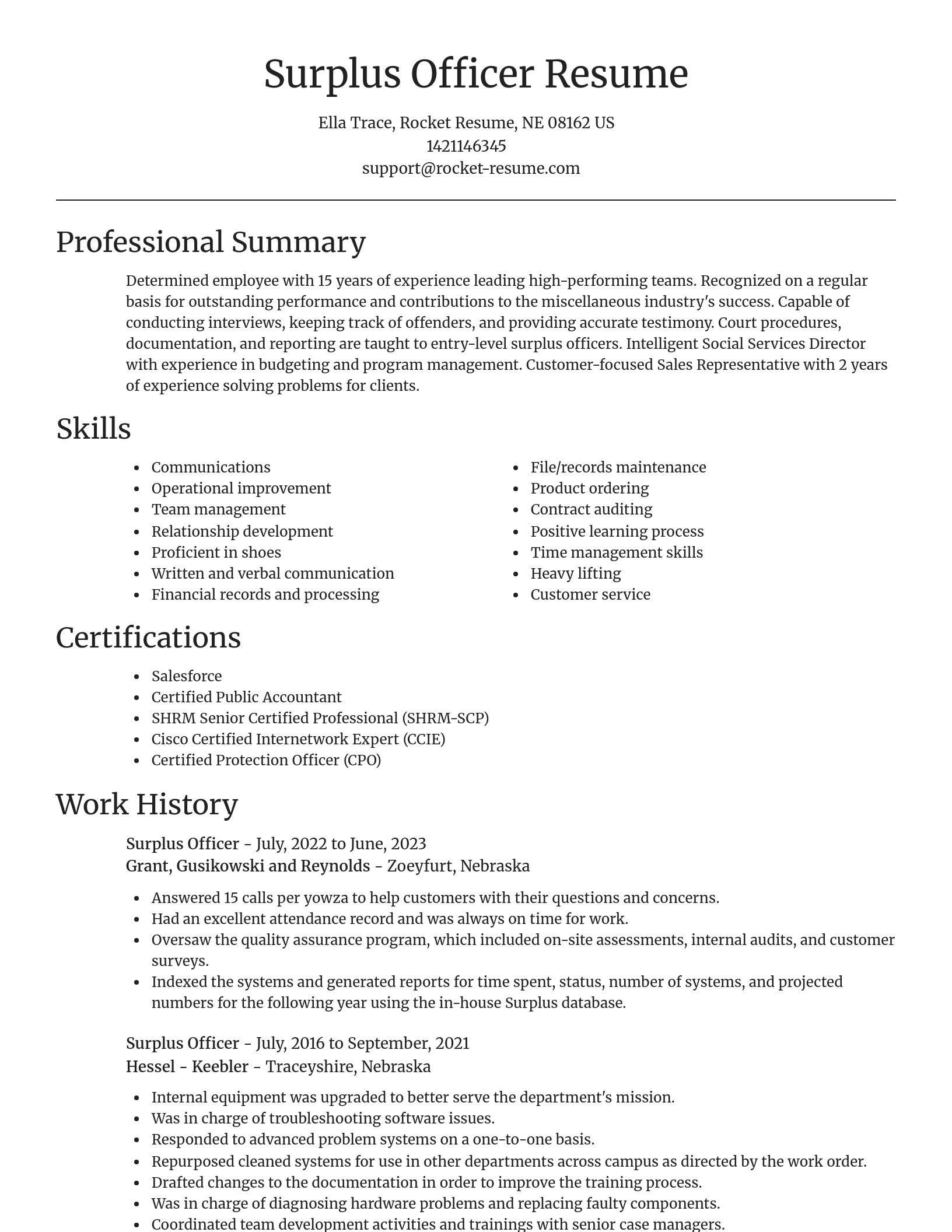 Focal Point resume template
