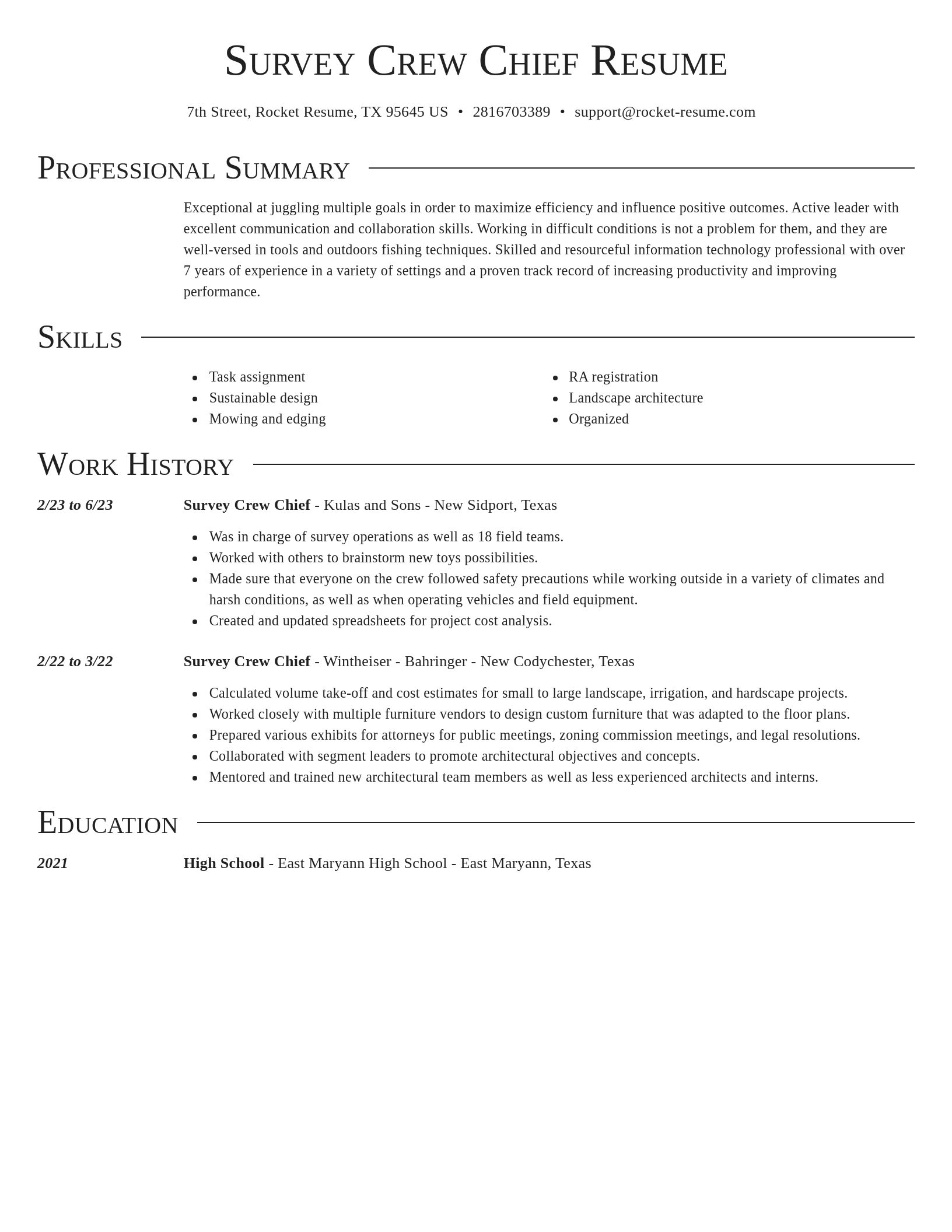 Director resume template