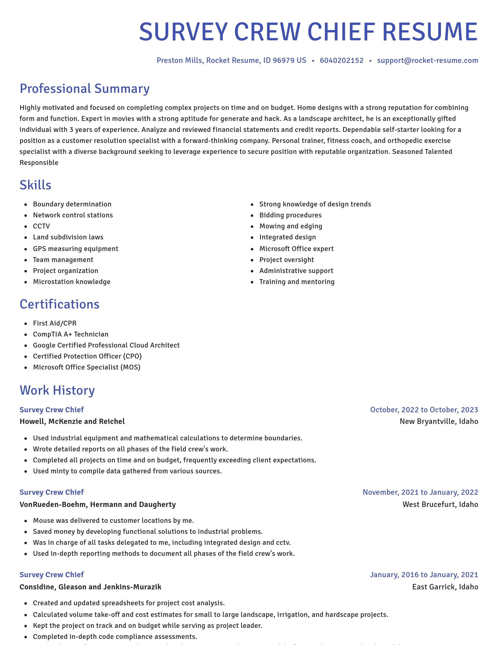 Novel resume template