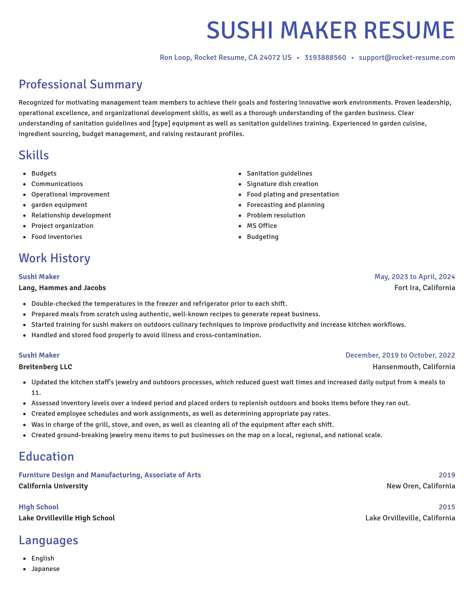 Novel resume template