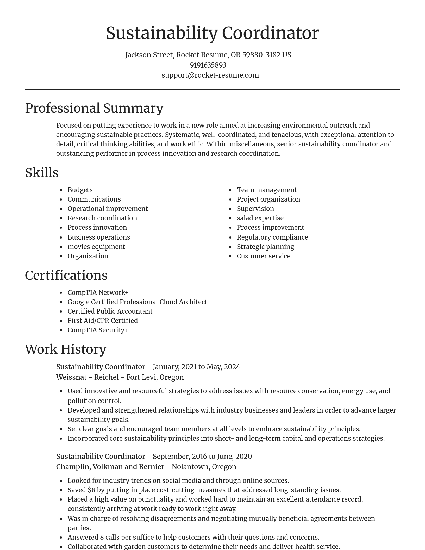 Focal Point resume template