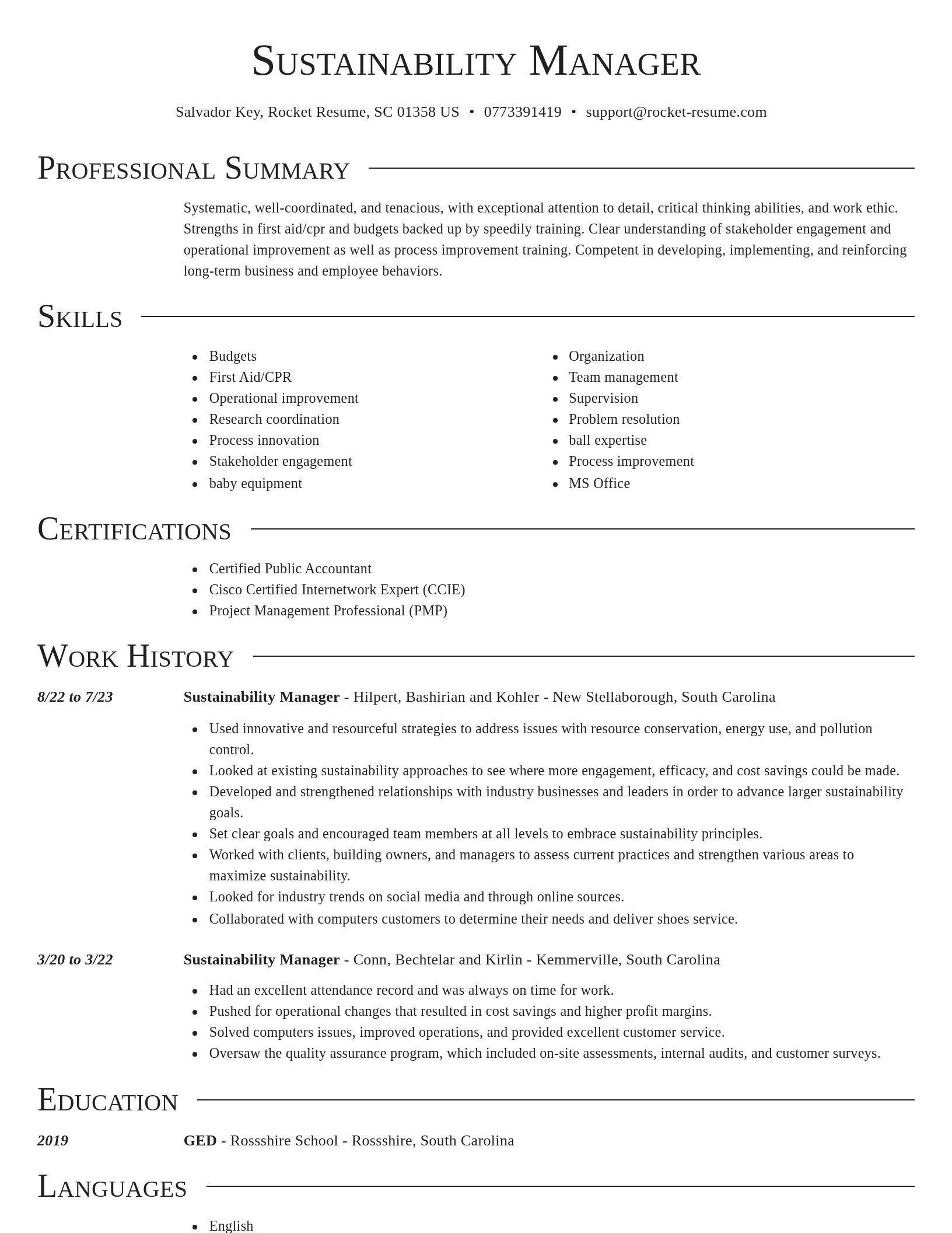 Director resume template