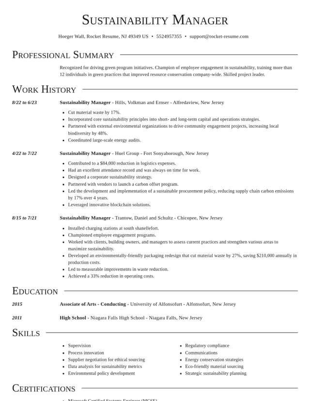 Director resume template