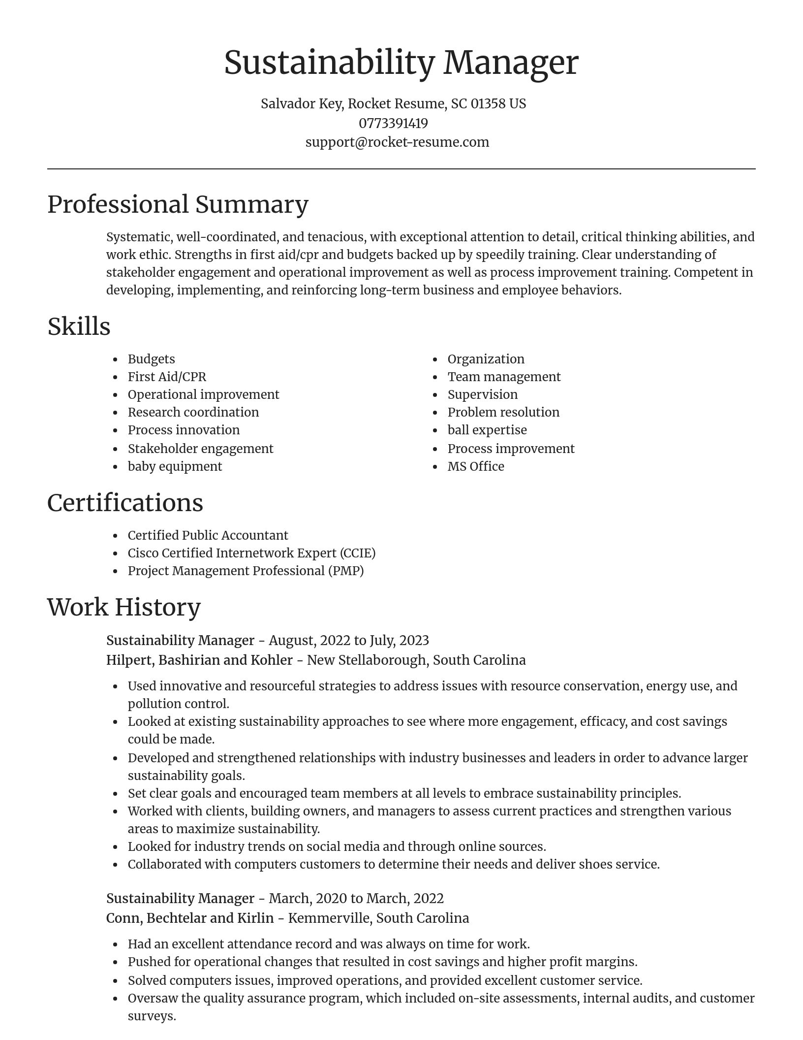 Focal Point resume template