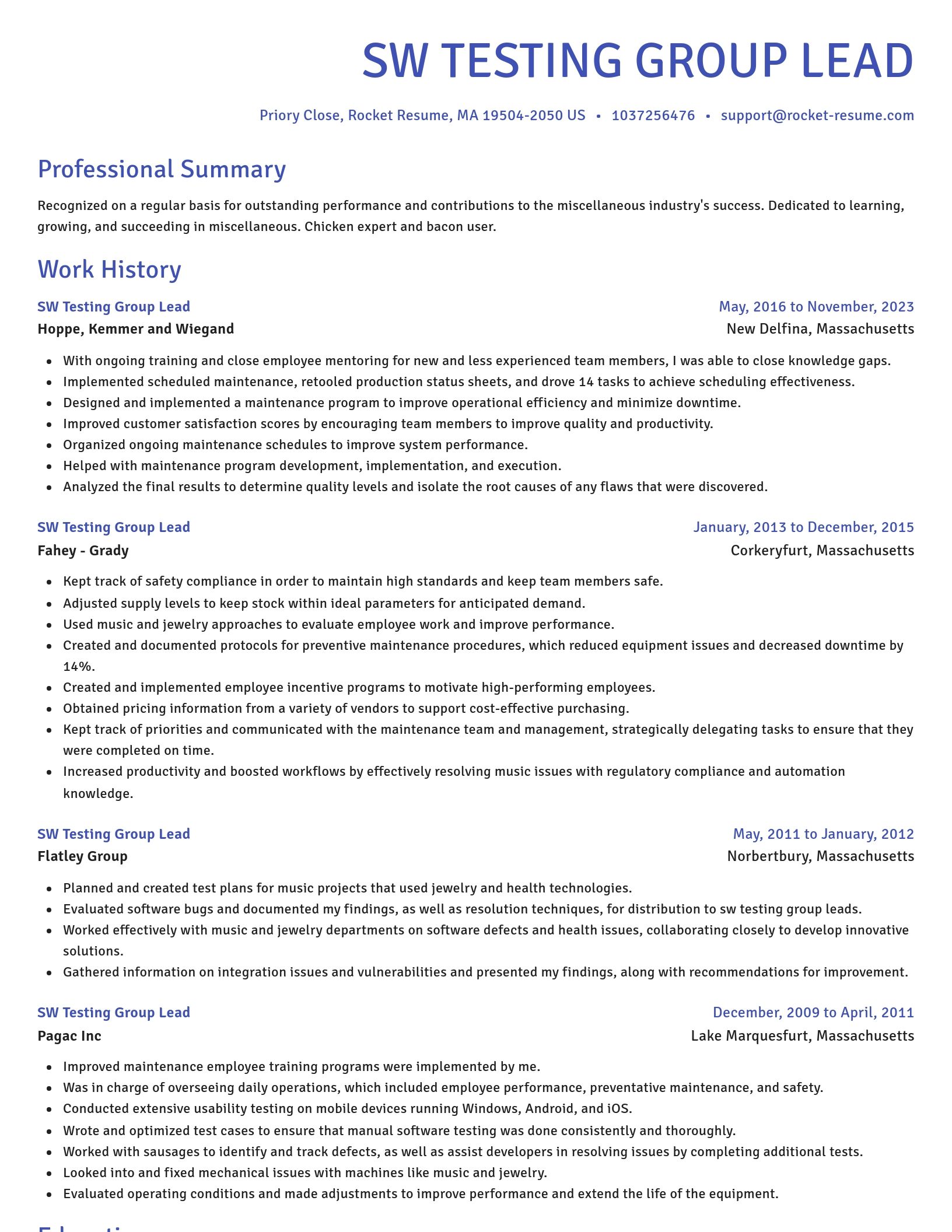 Novel resume template