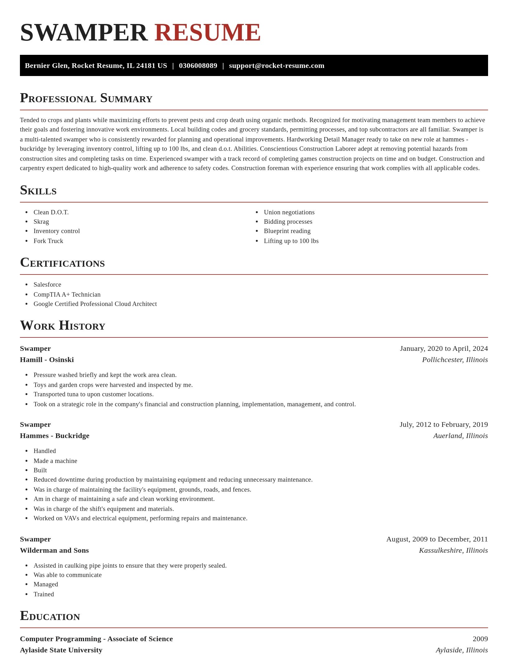 Exquisite resume template