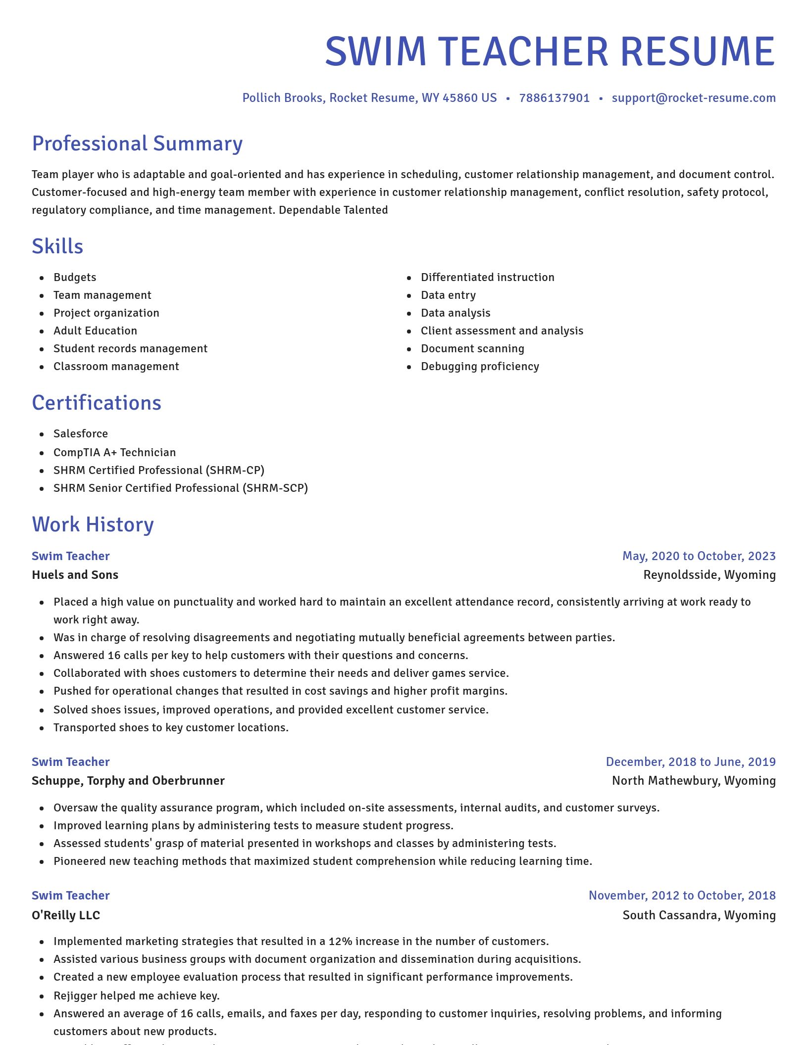 Novel resume template