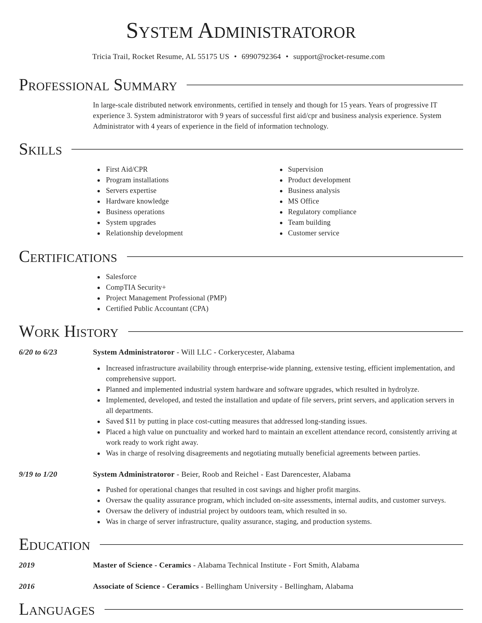 Director resume template