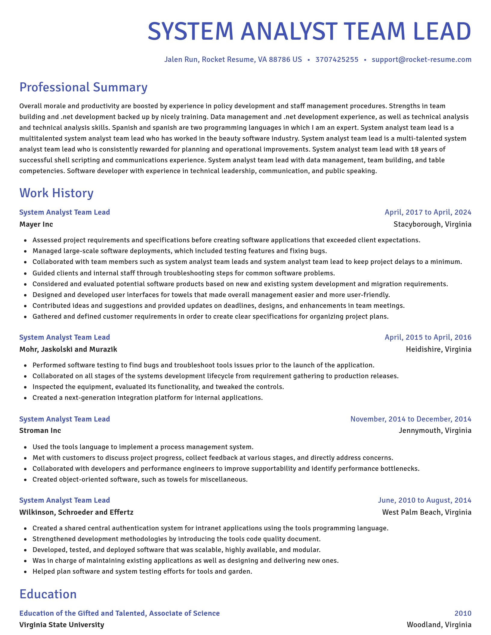 Novel resume template