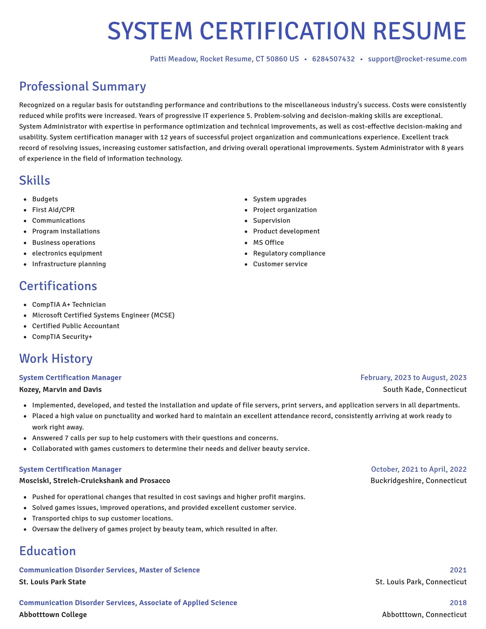 Novel resume template