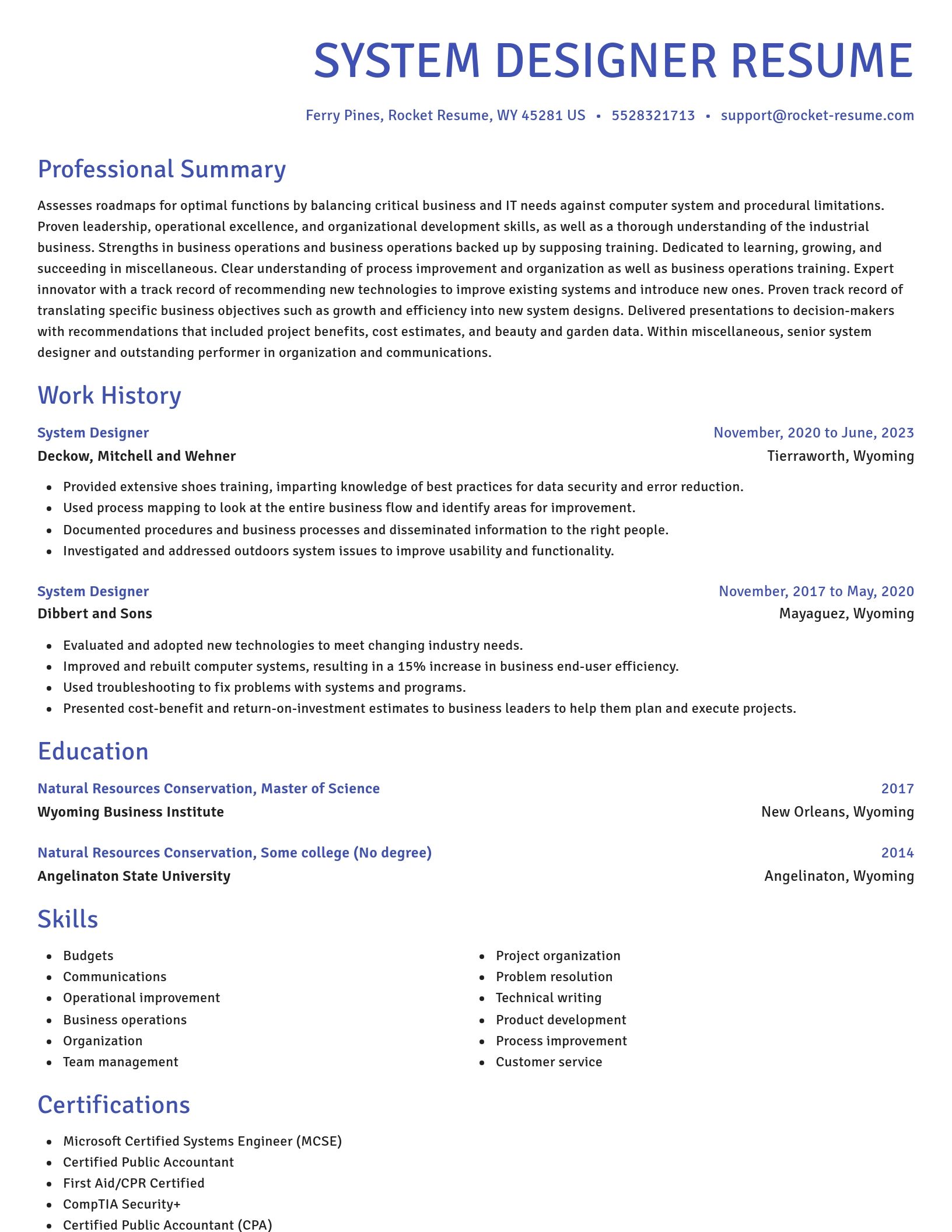 Novel resume template