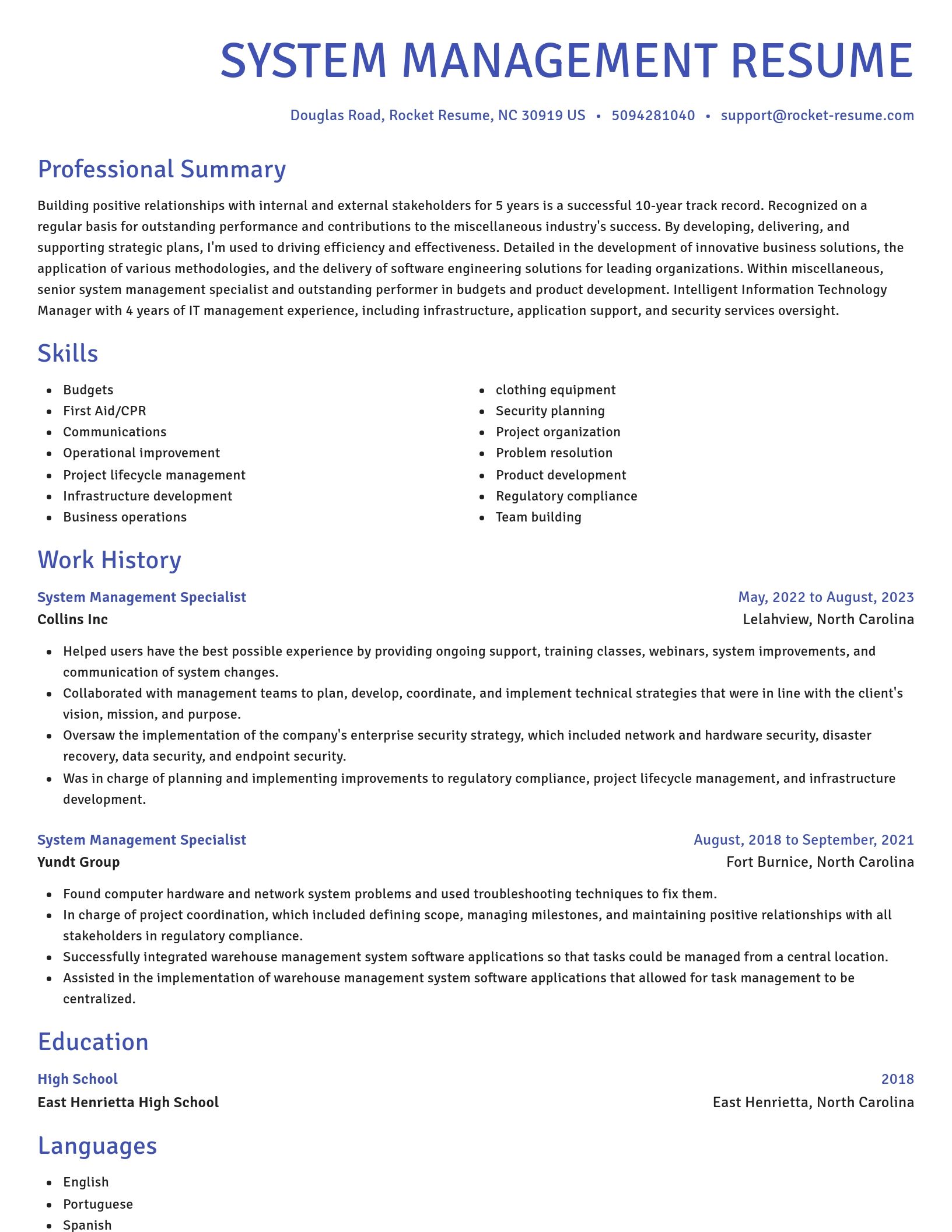 Novel resume template