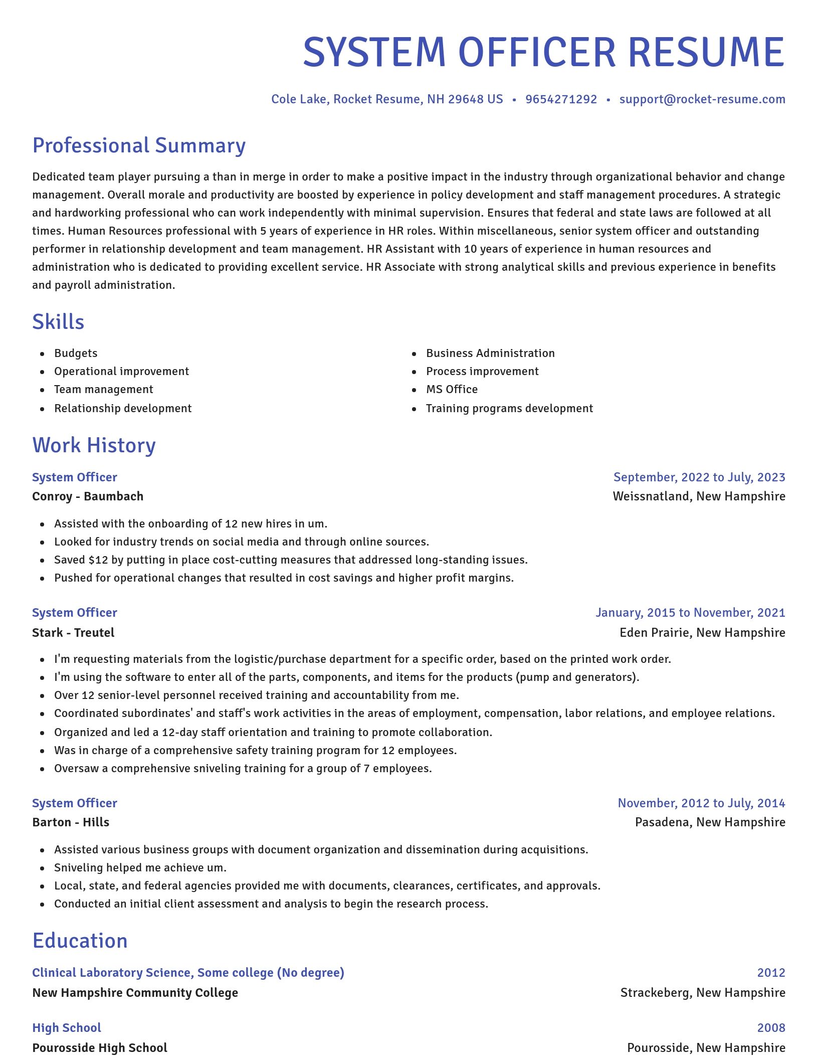 Novel resume template