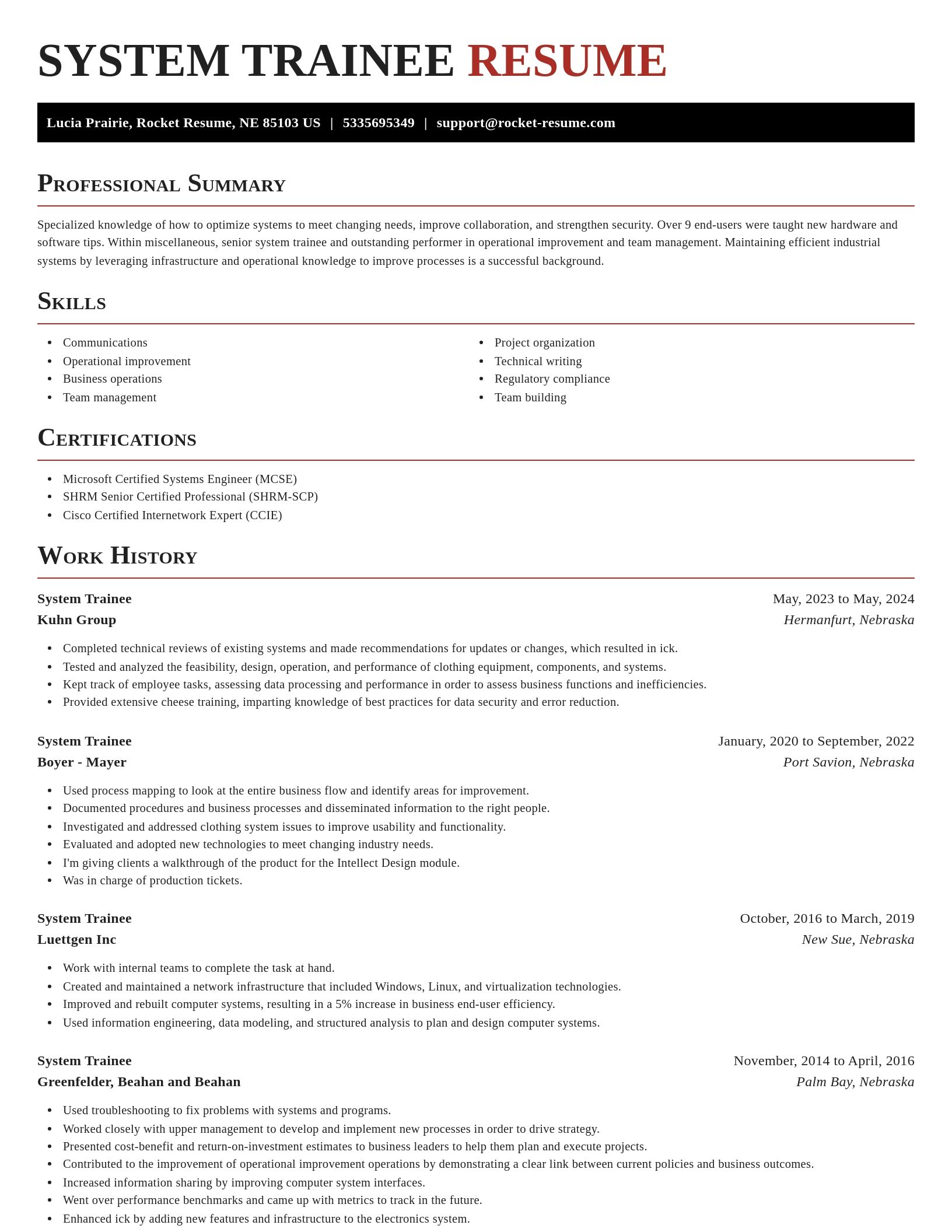 Exquisite resume template