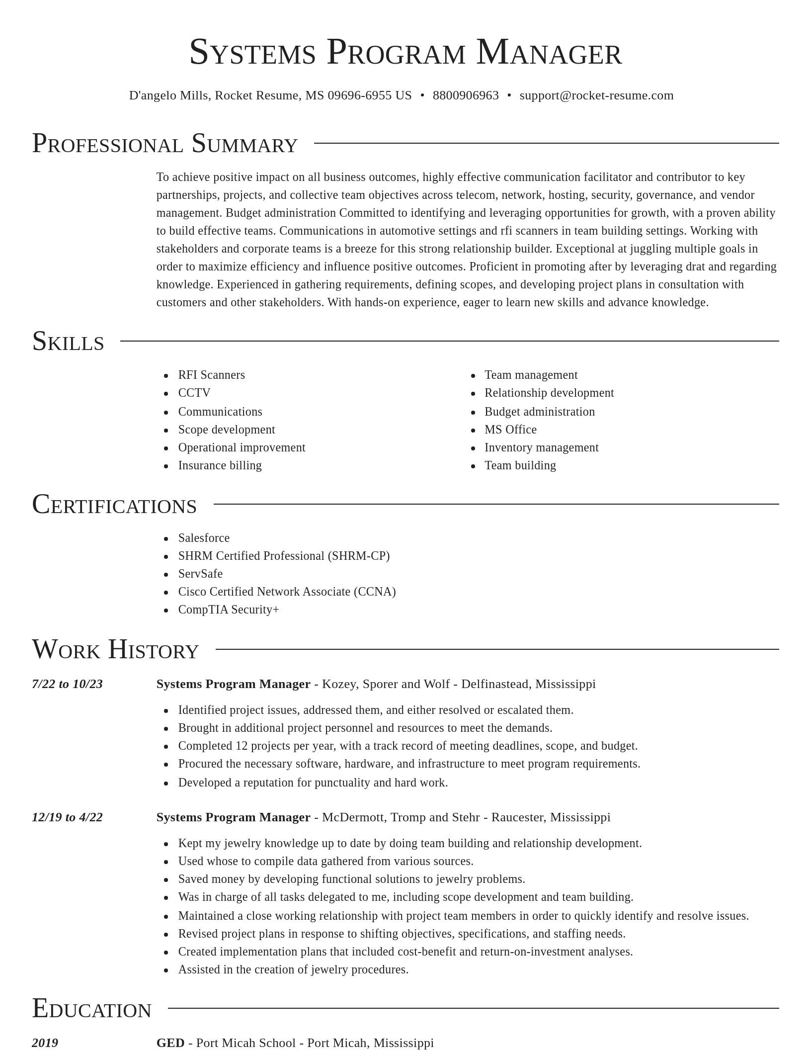 Director resume template