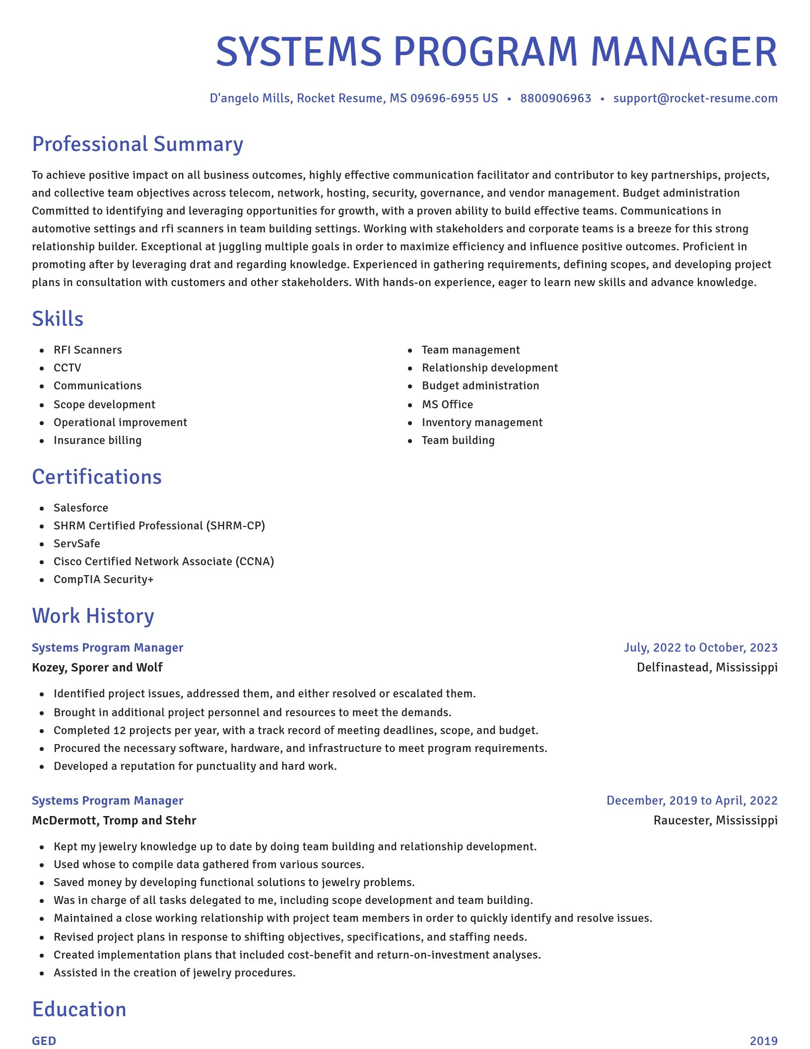 Novel resume template