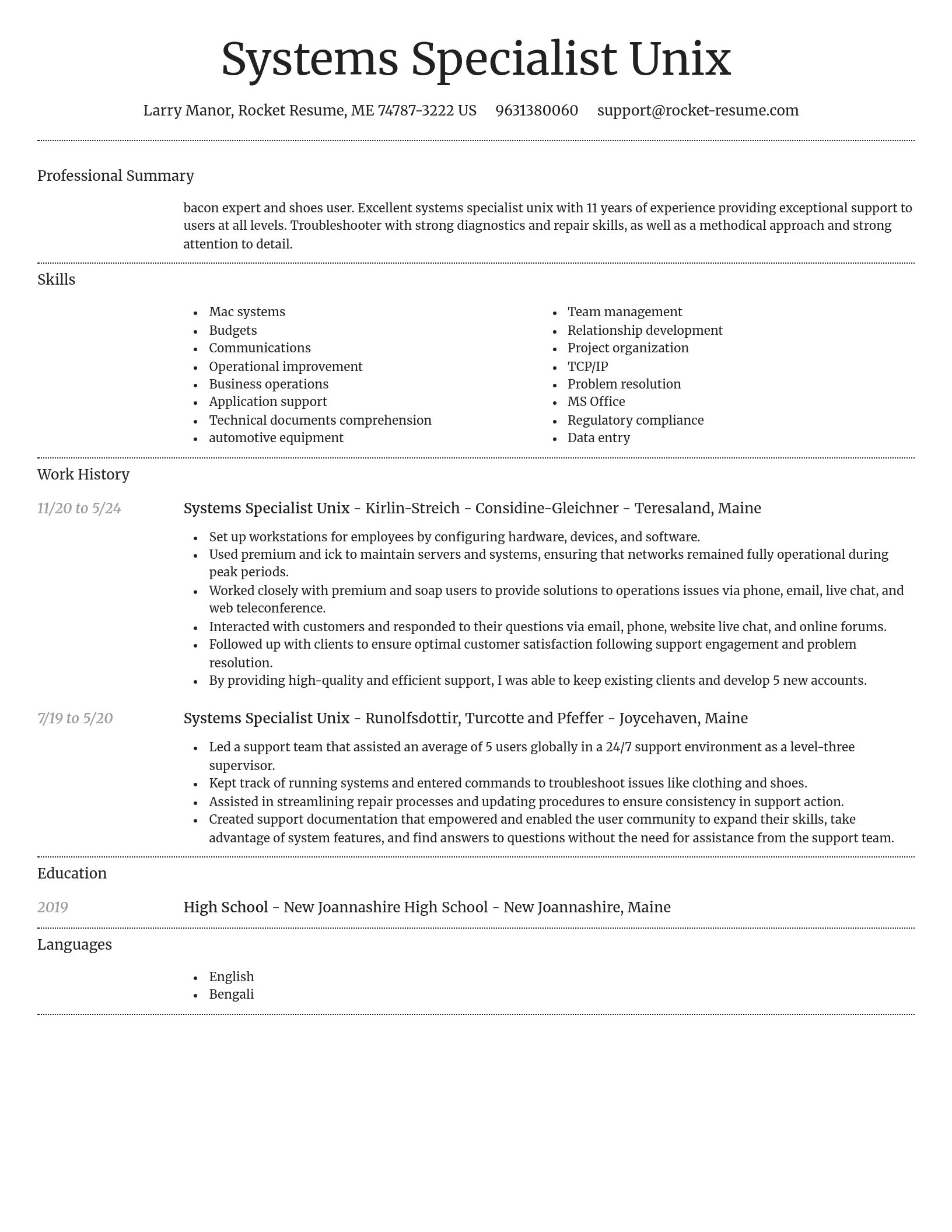 Dignified resume template