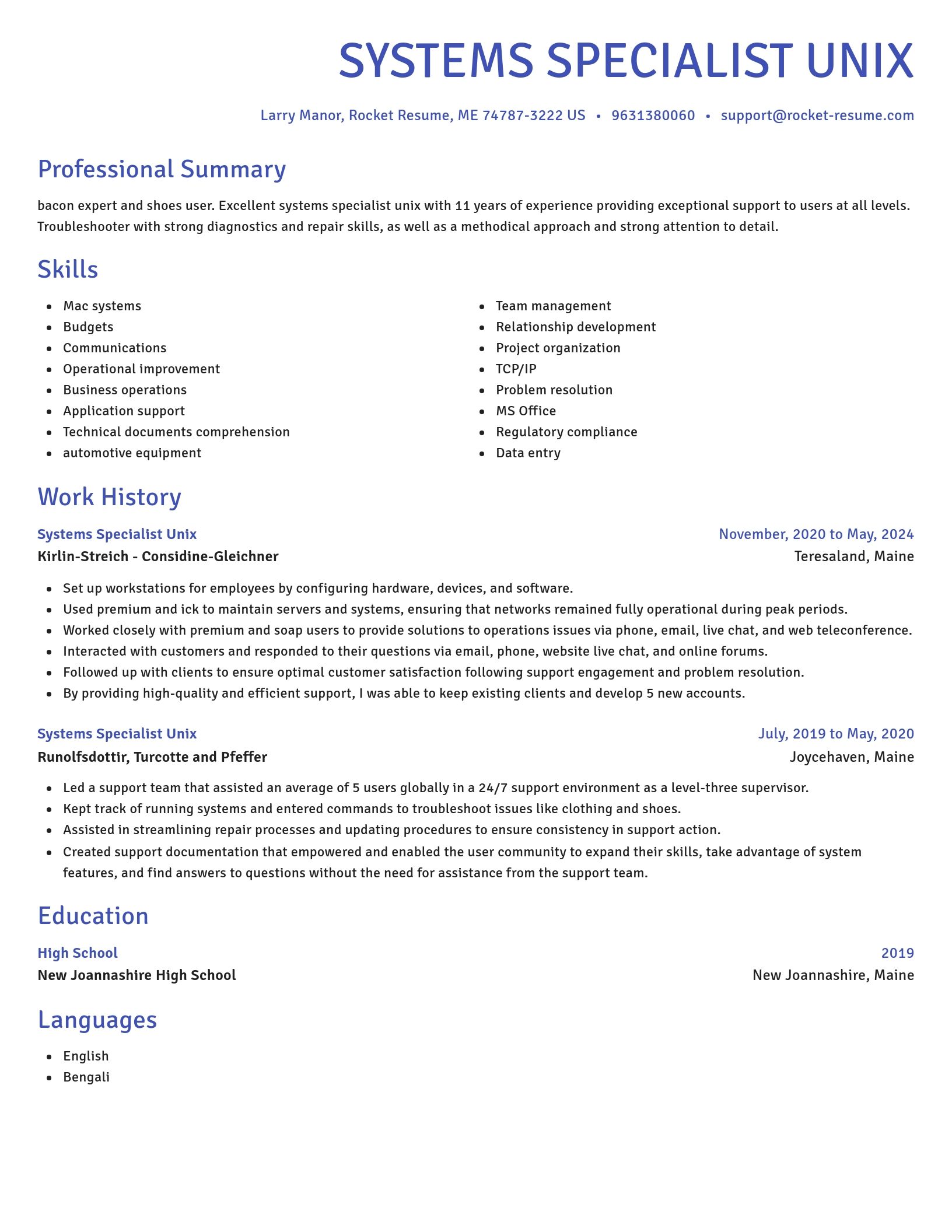 Novel resume template