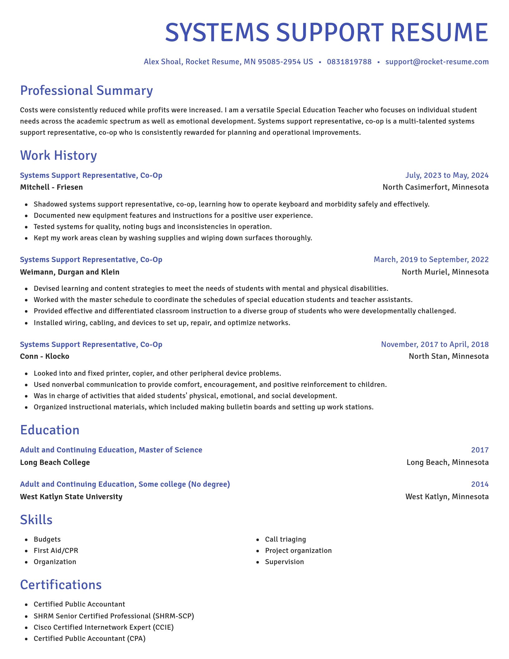 Novel resume template