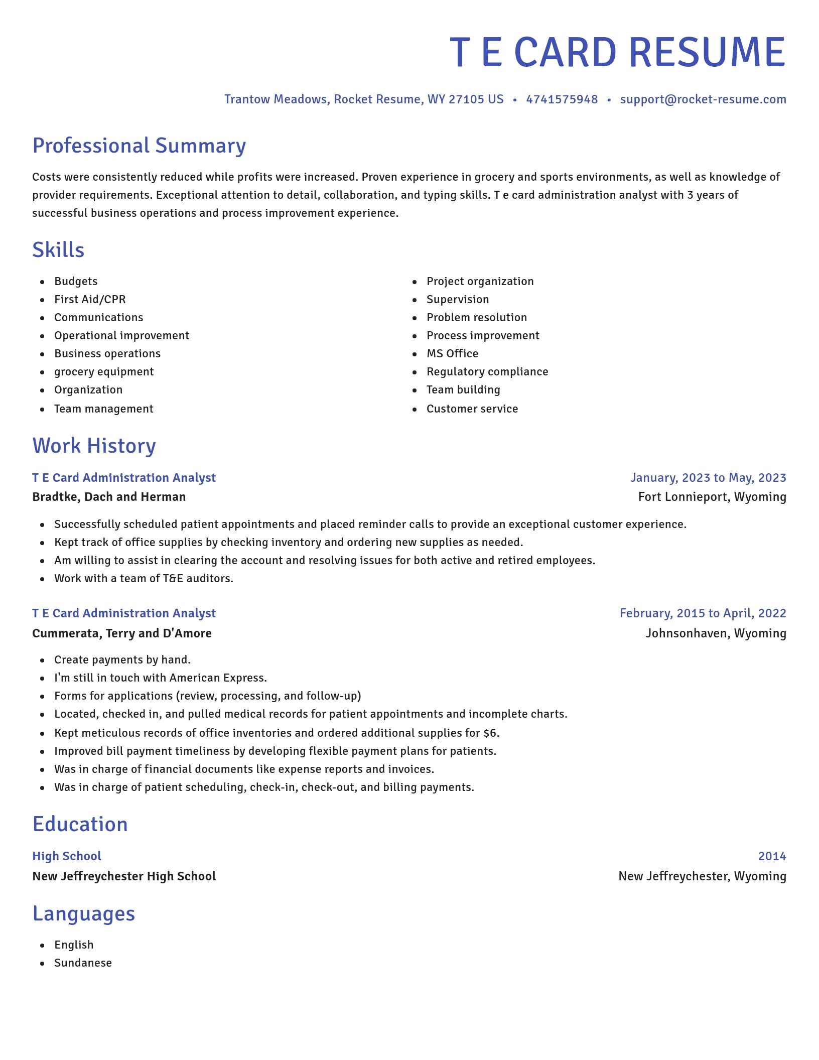 Novel resume template