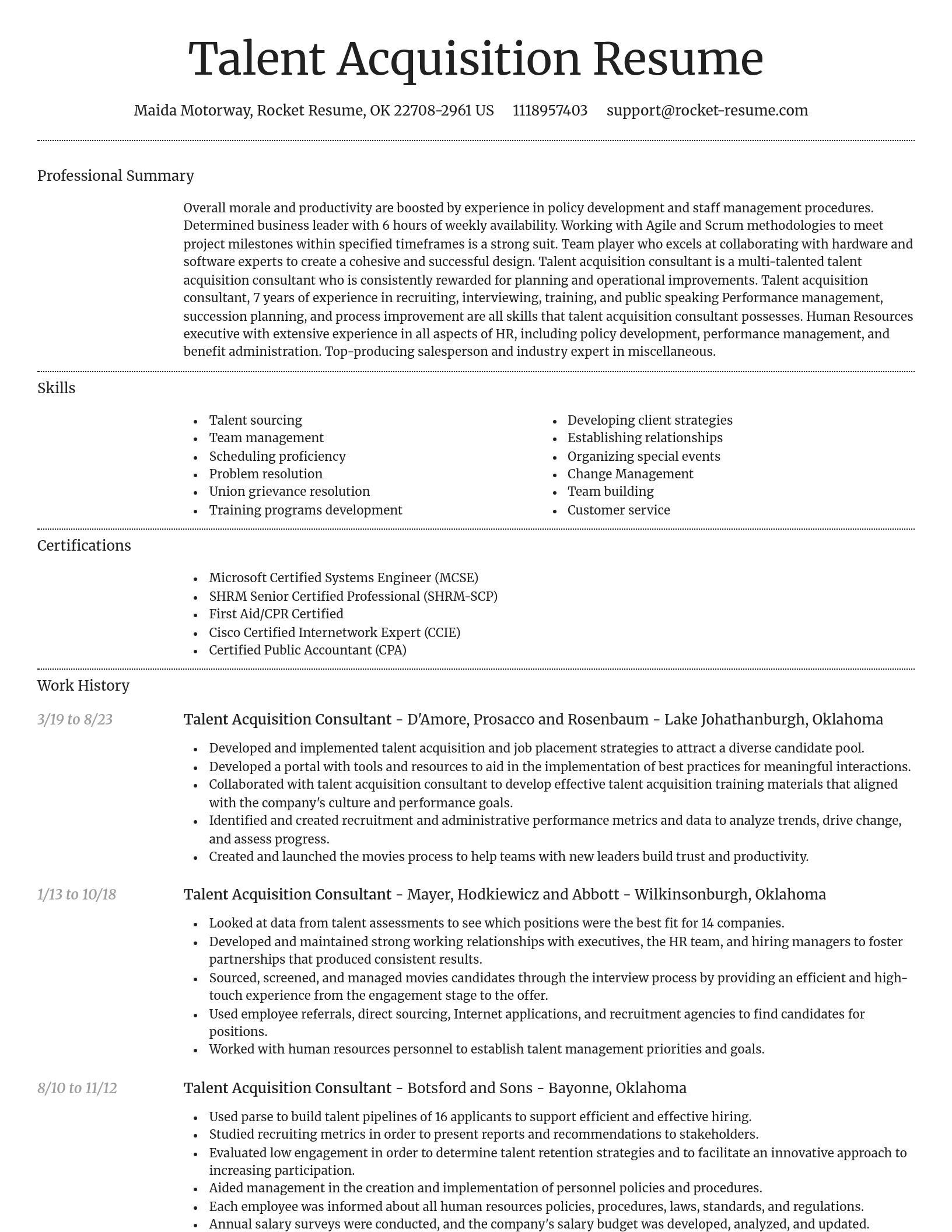 Dignified resume template