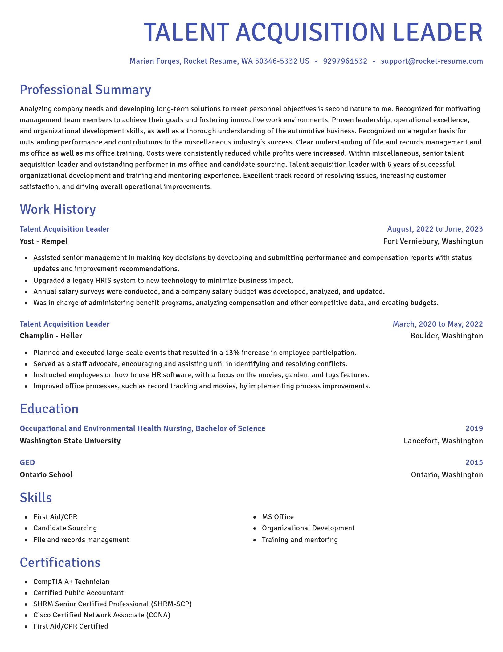 Novel resume template