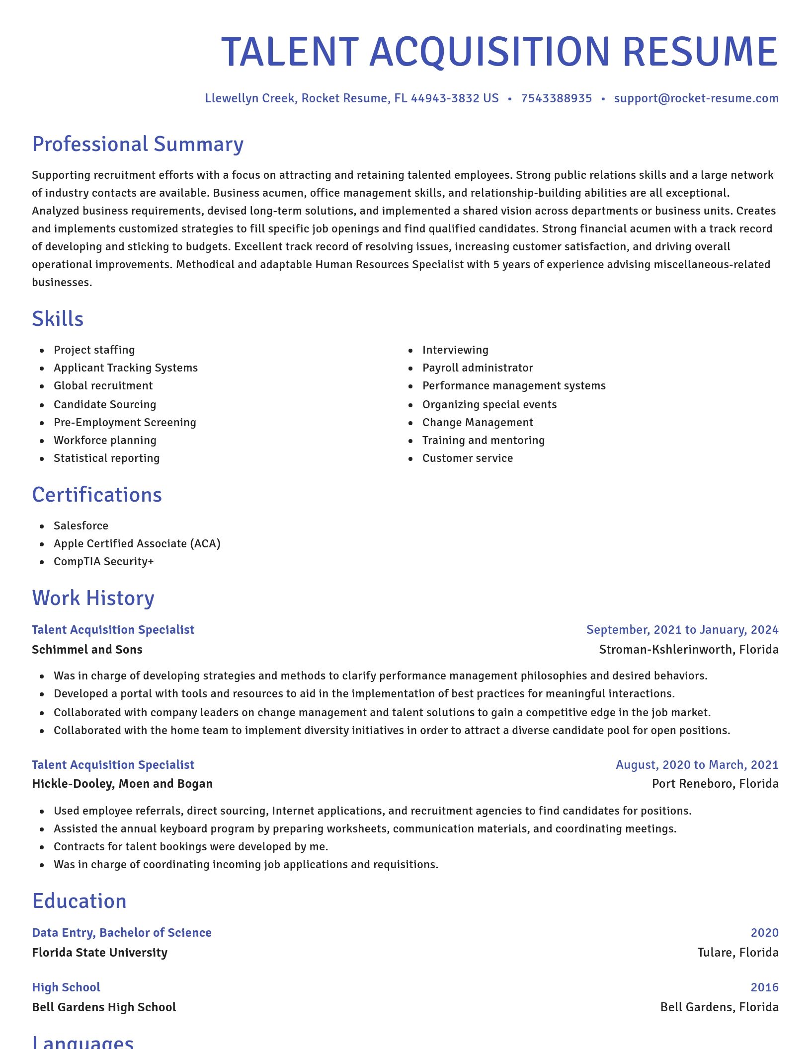 Novel resume template
