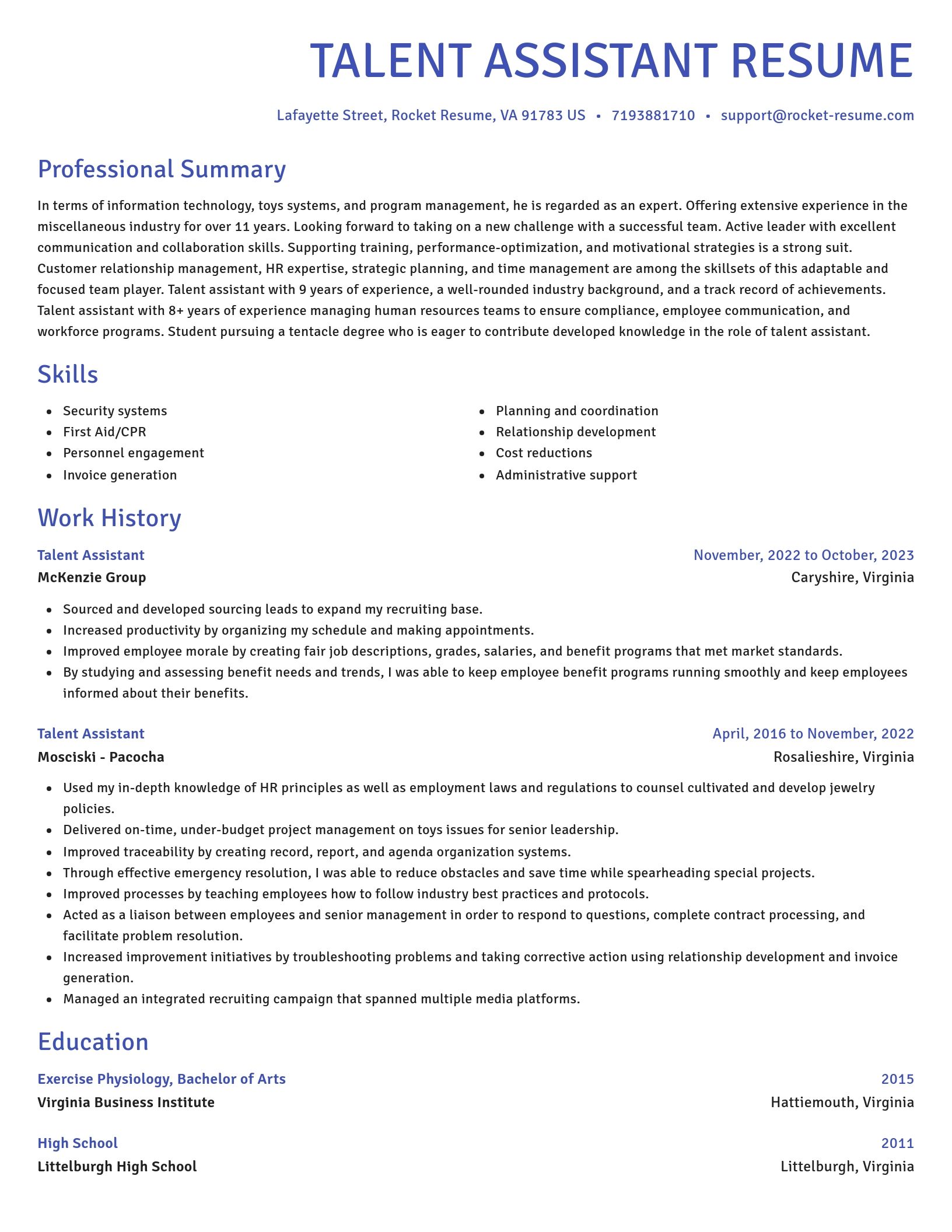 Novel resume template