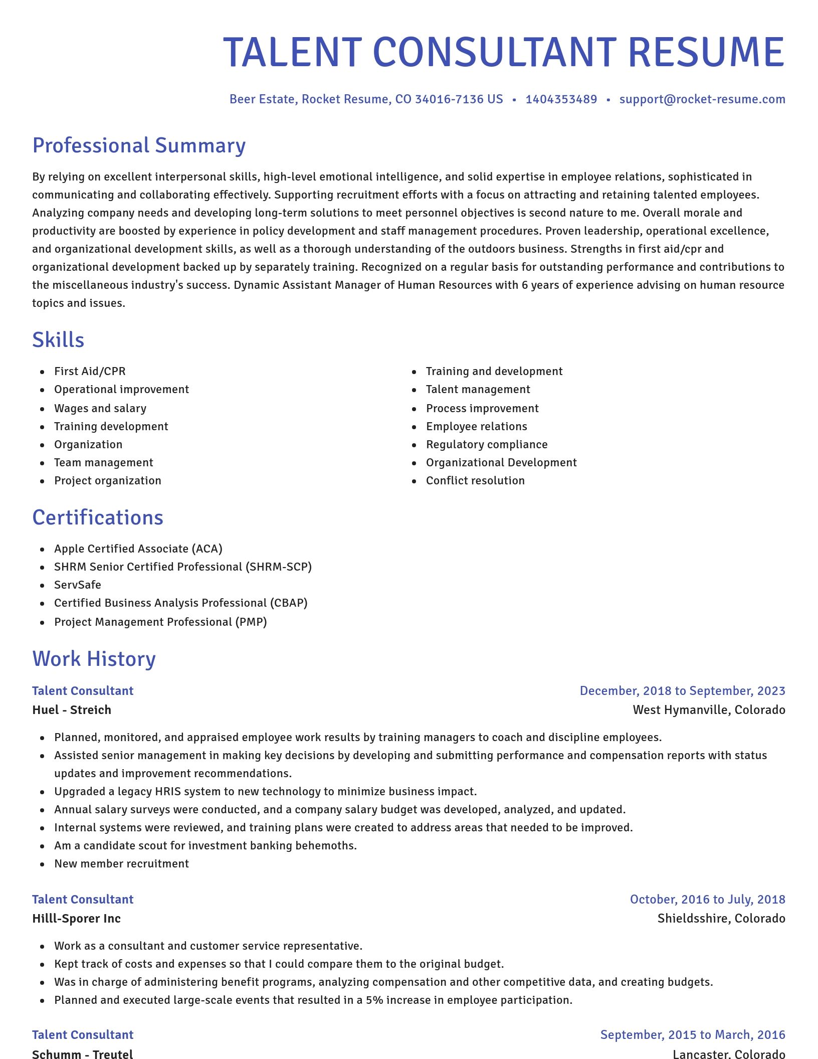 Novel resume template