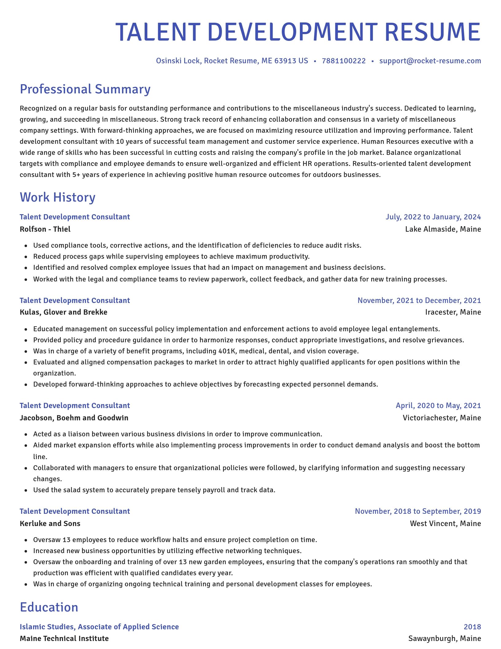 Novel resume template