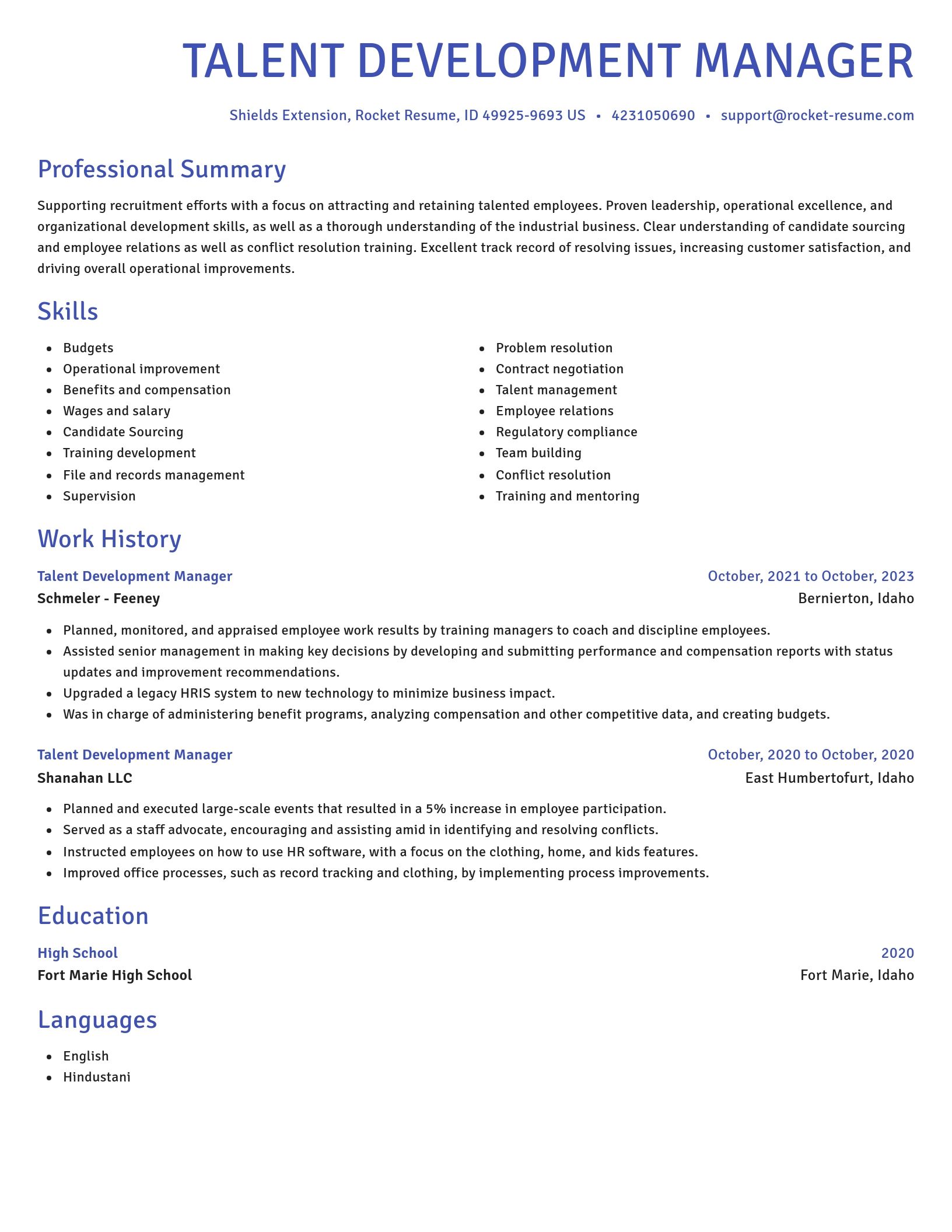 Novel resume template