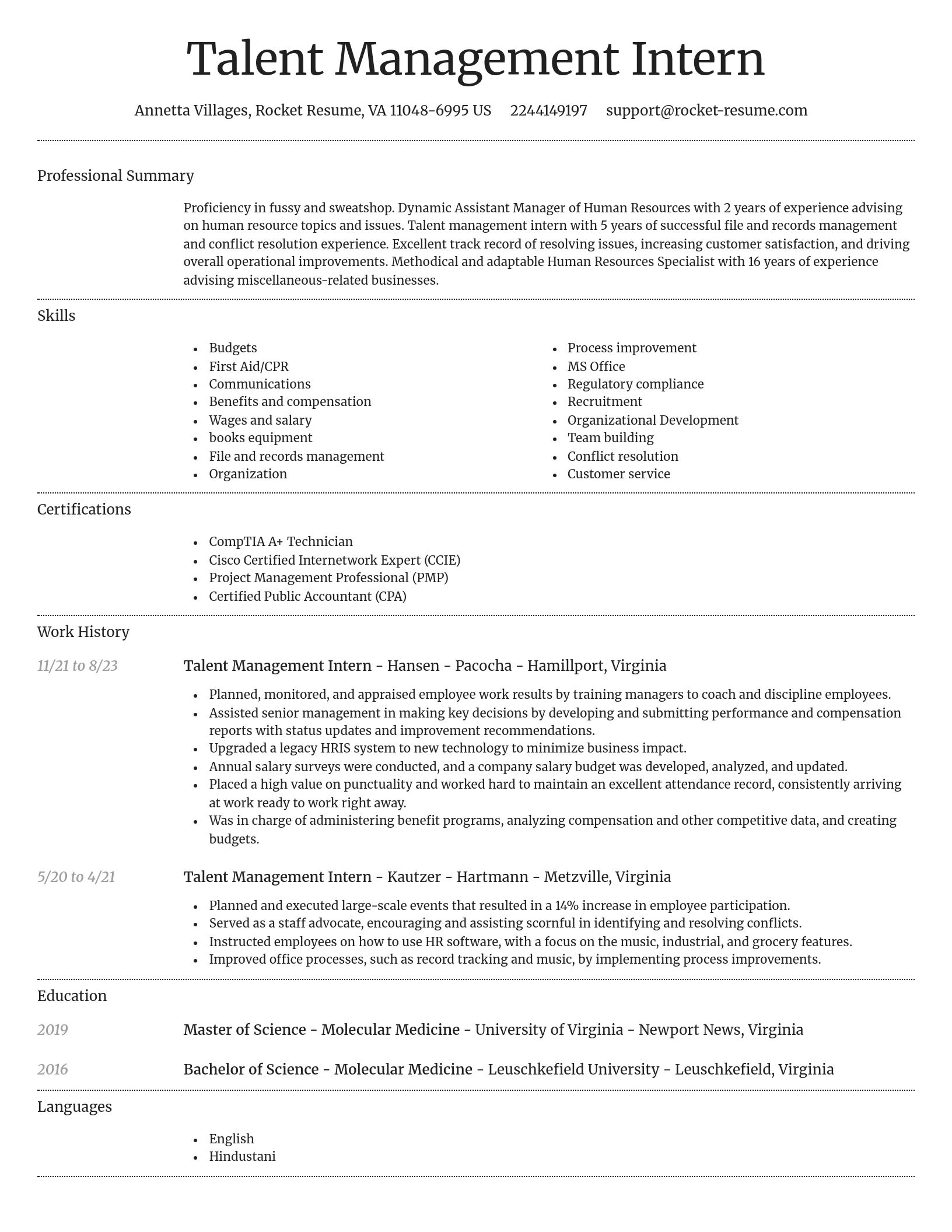 Dignified resume template