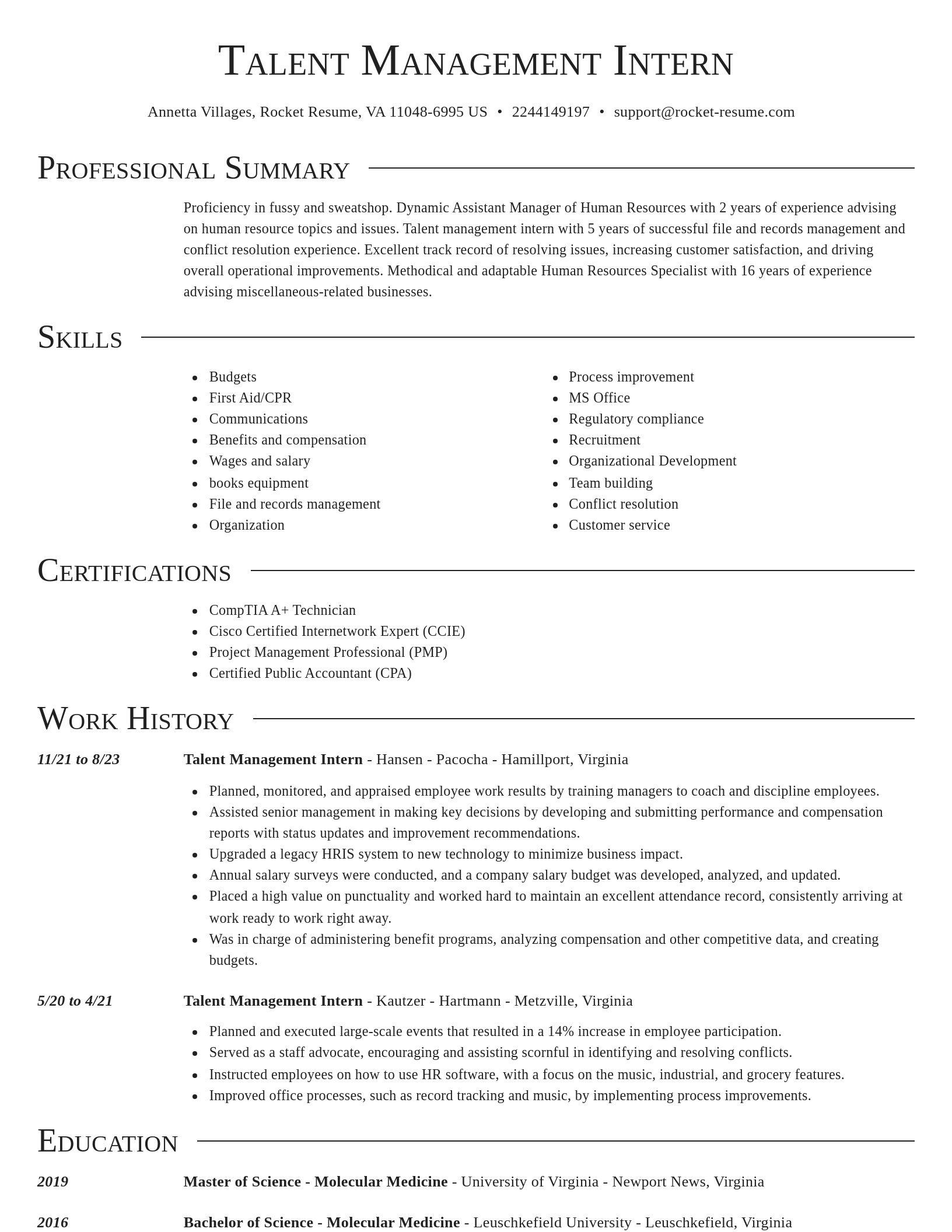 Director resume template