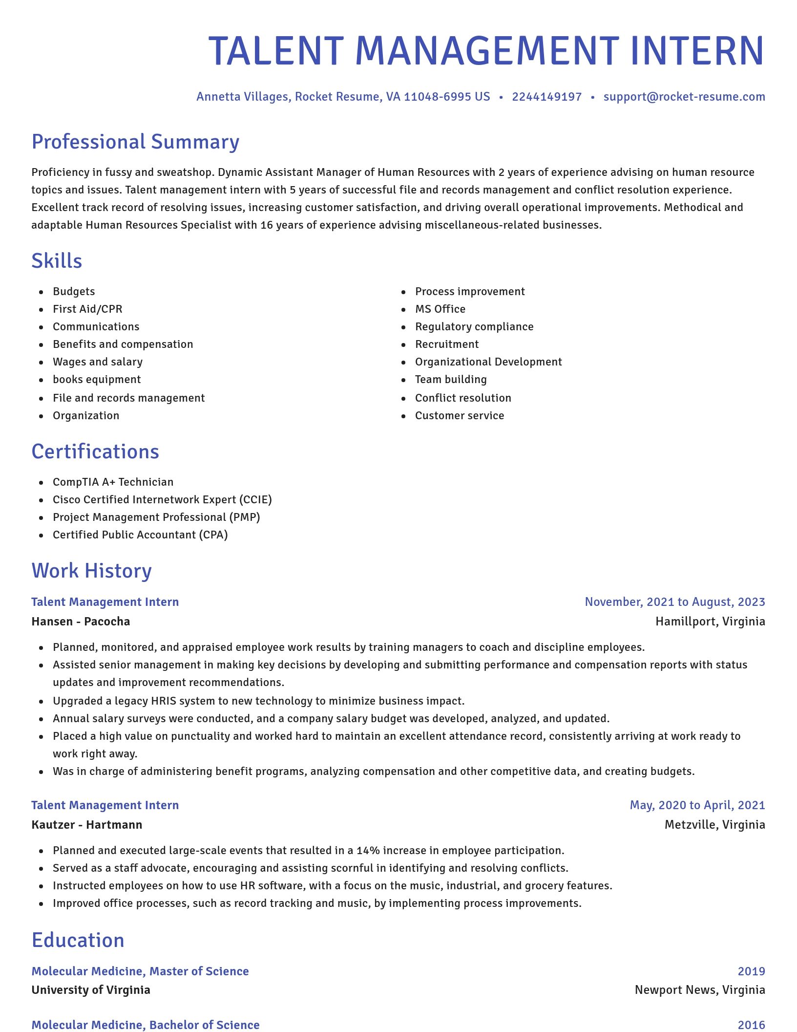 Novel resume template