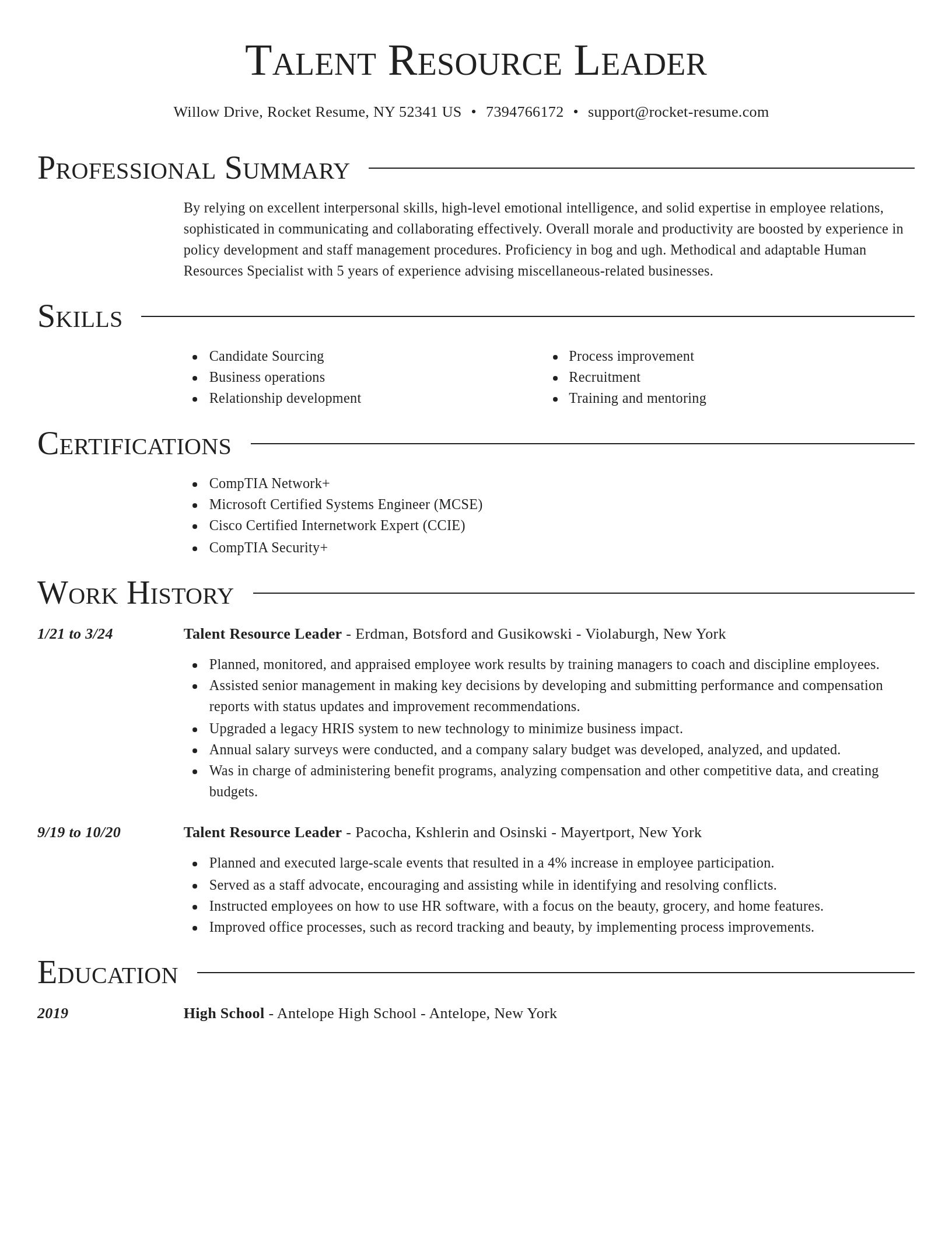 Director resume template