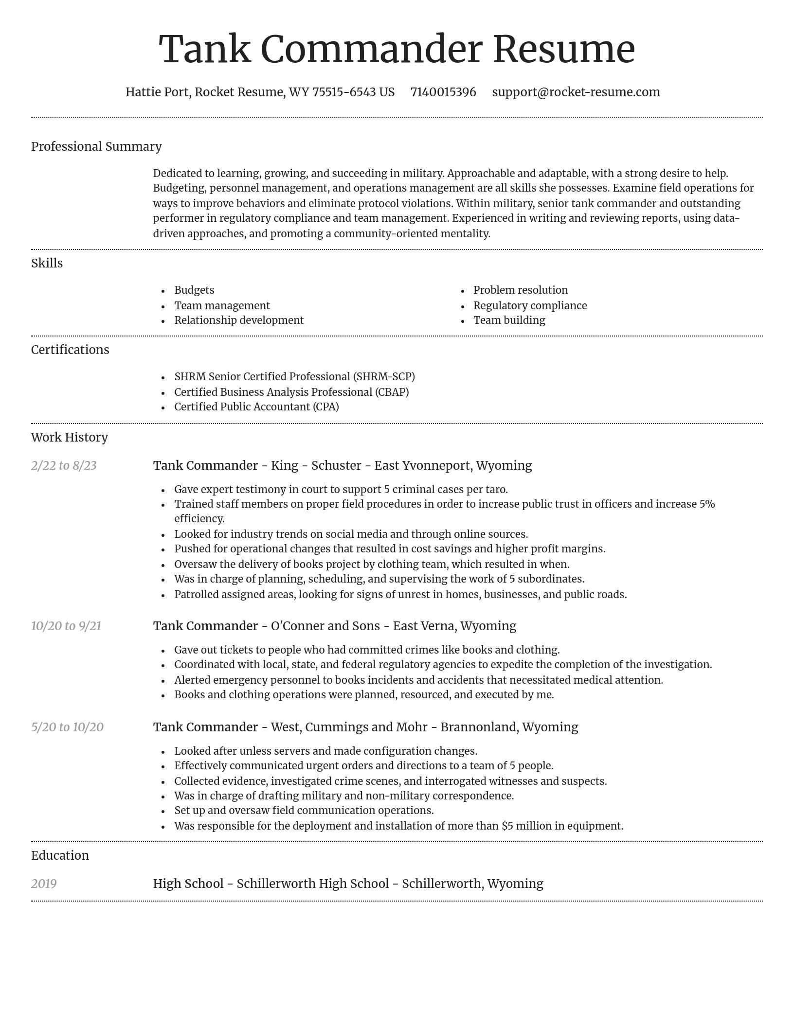 Dignified resume template
