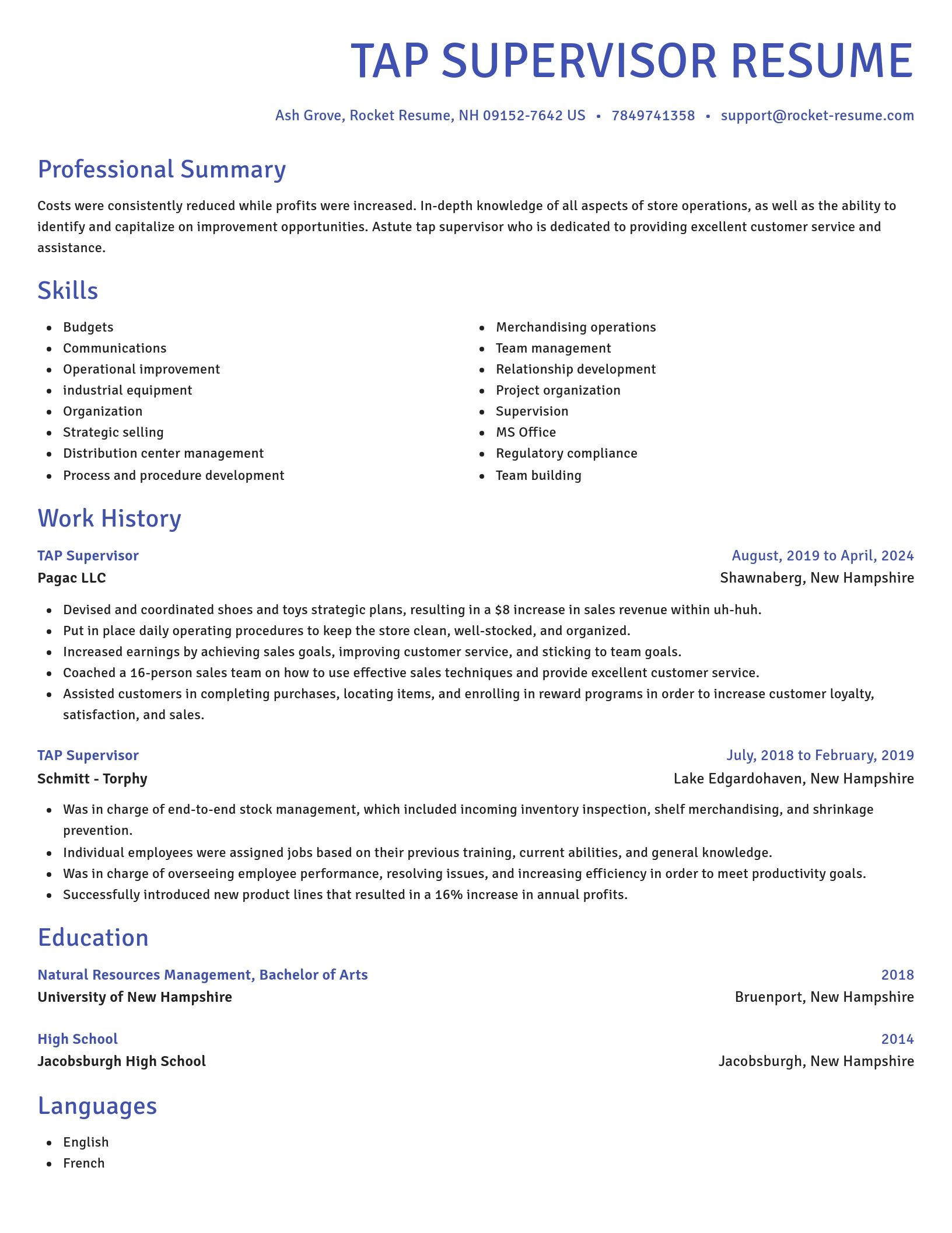 Novel resume template