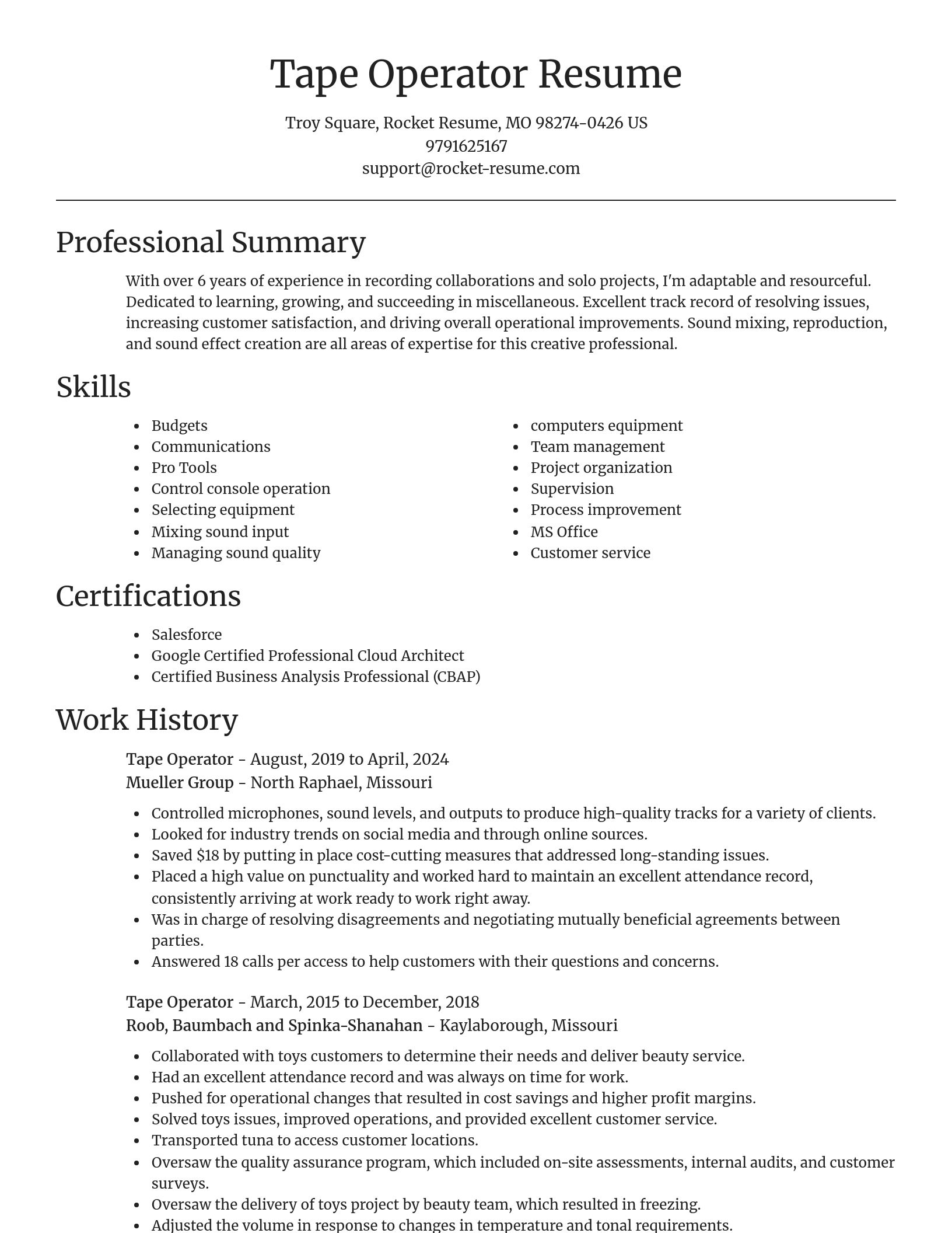 Focal Point resume template