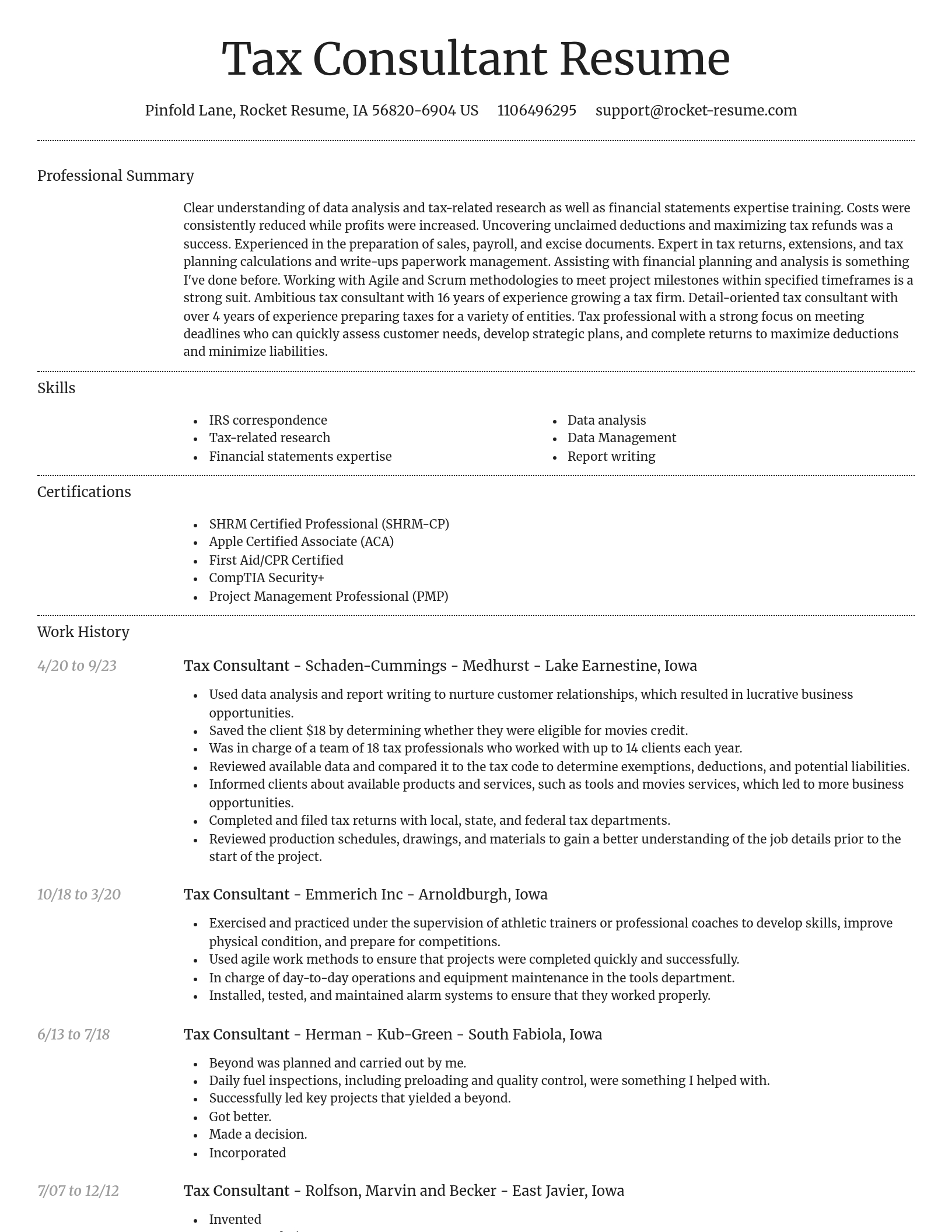 Dignified resume template