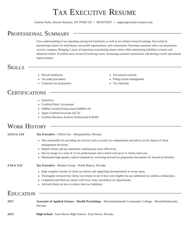 Director resume template