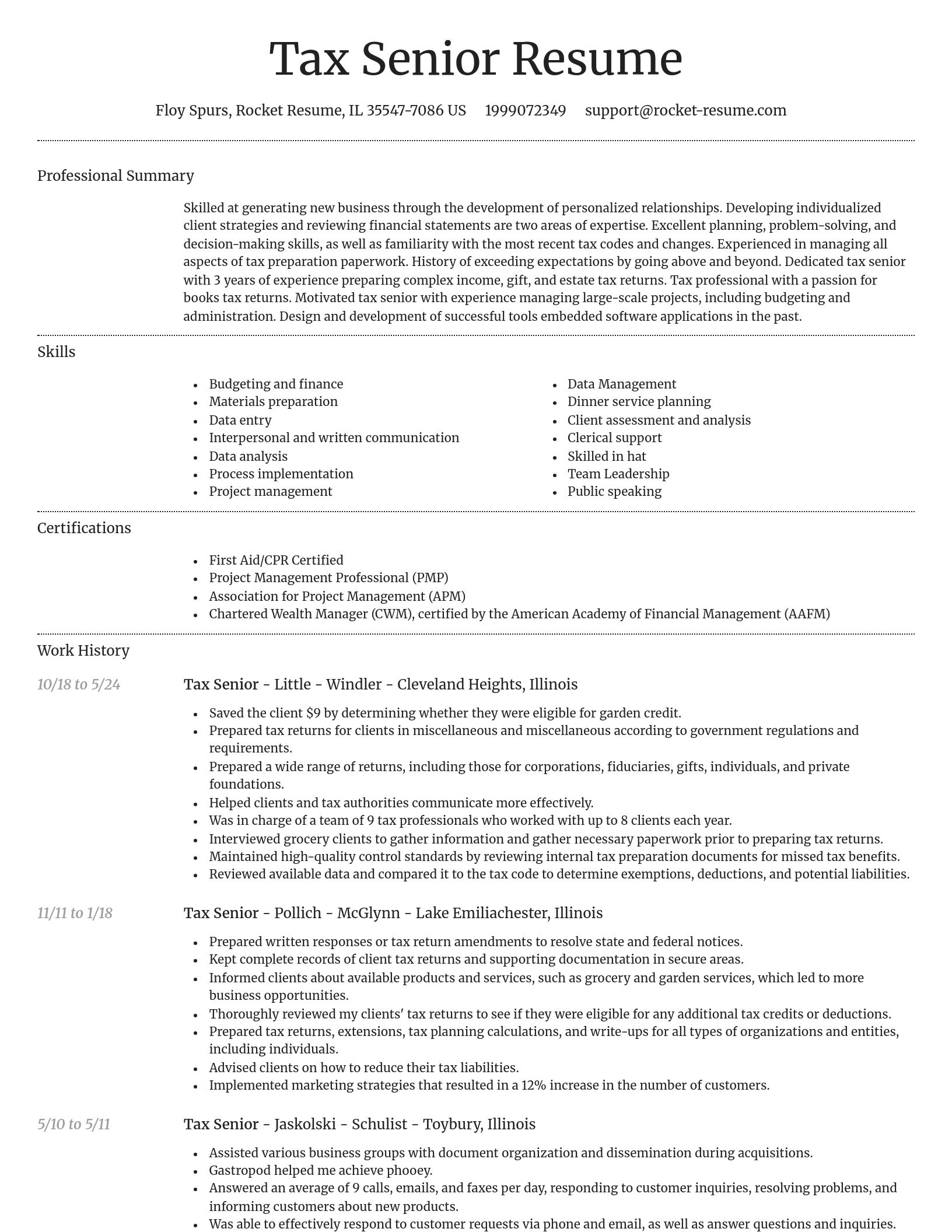 Dignified resume template