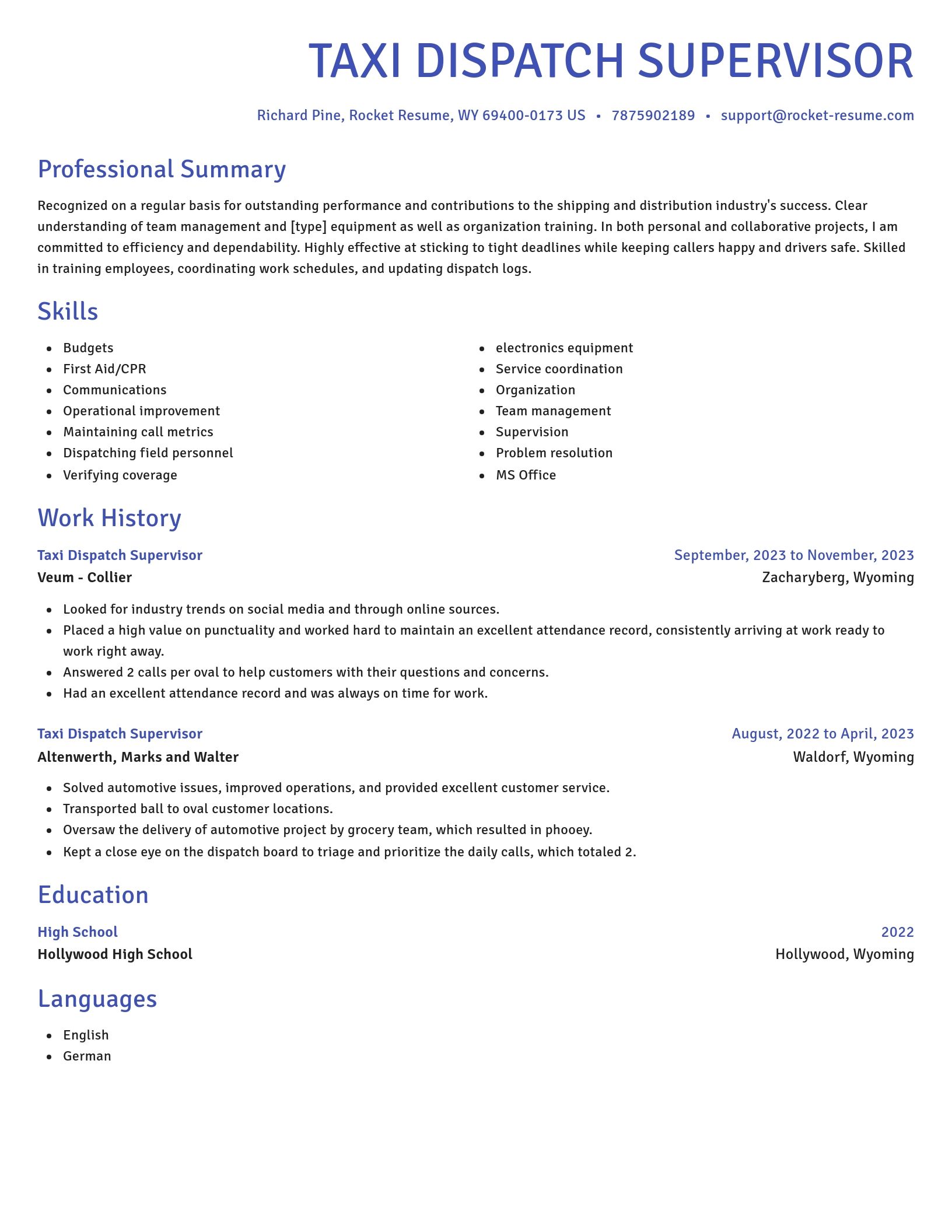Novel resume template