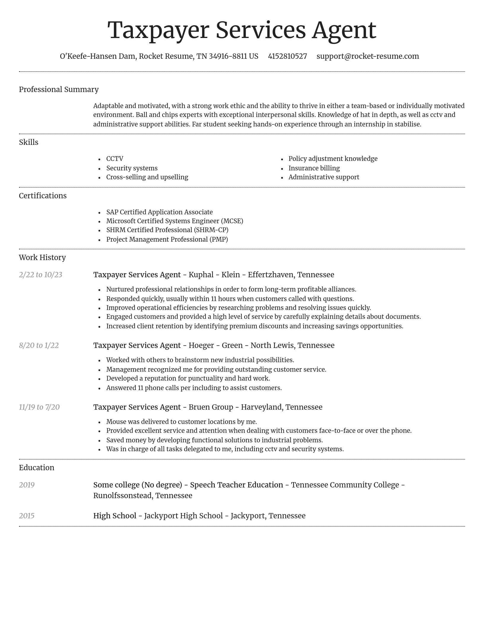 Dignified resume template